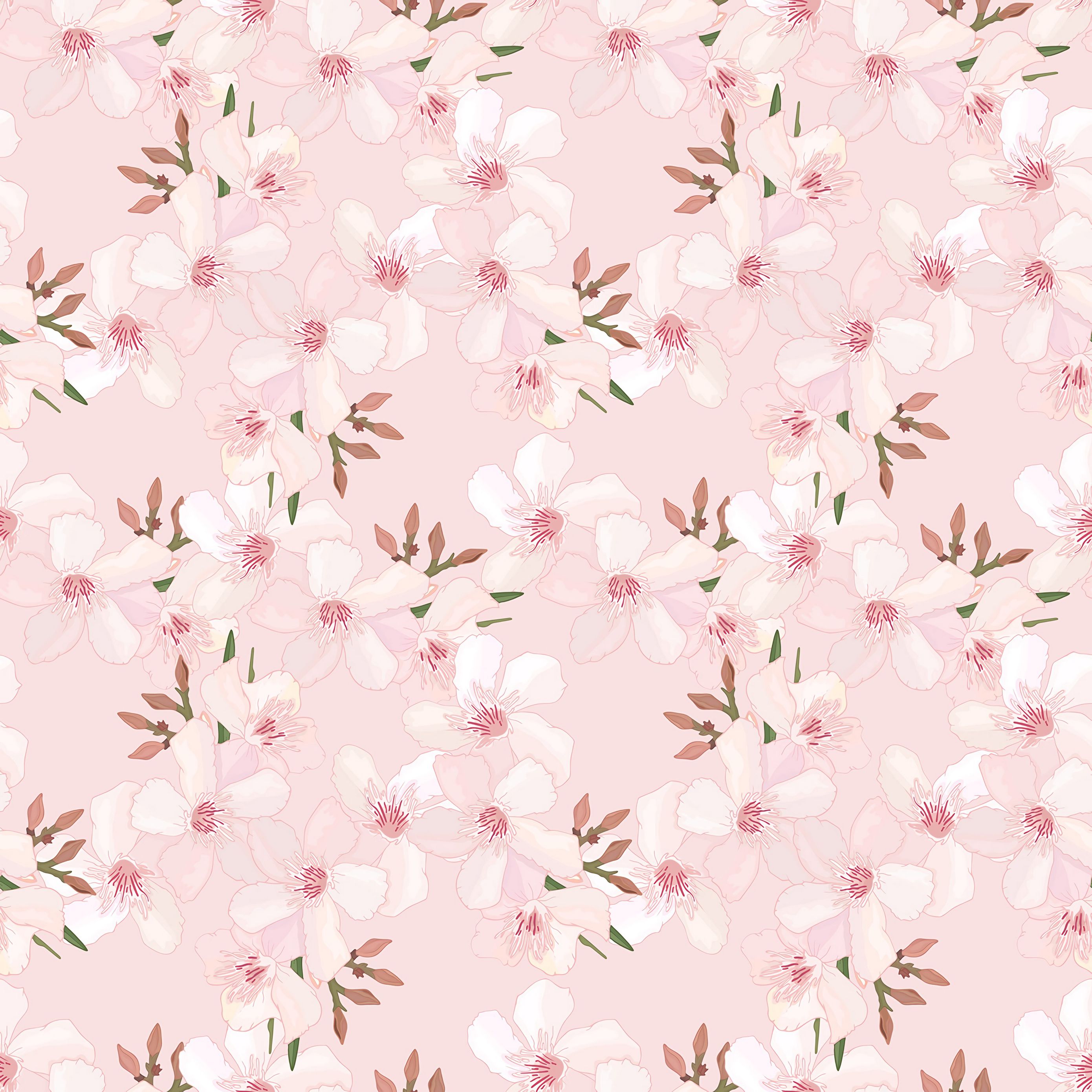 Download wallpaper 2780x2780 flowers, sakura, pattern, cherry, pink, tender, spring ipad air, ipad air ipad ipad ipad mini ipad mini ipad mini ipad pro 9.7 for parallax HD background