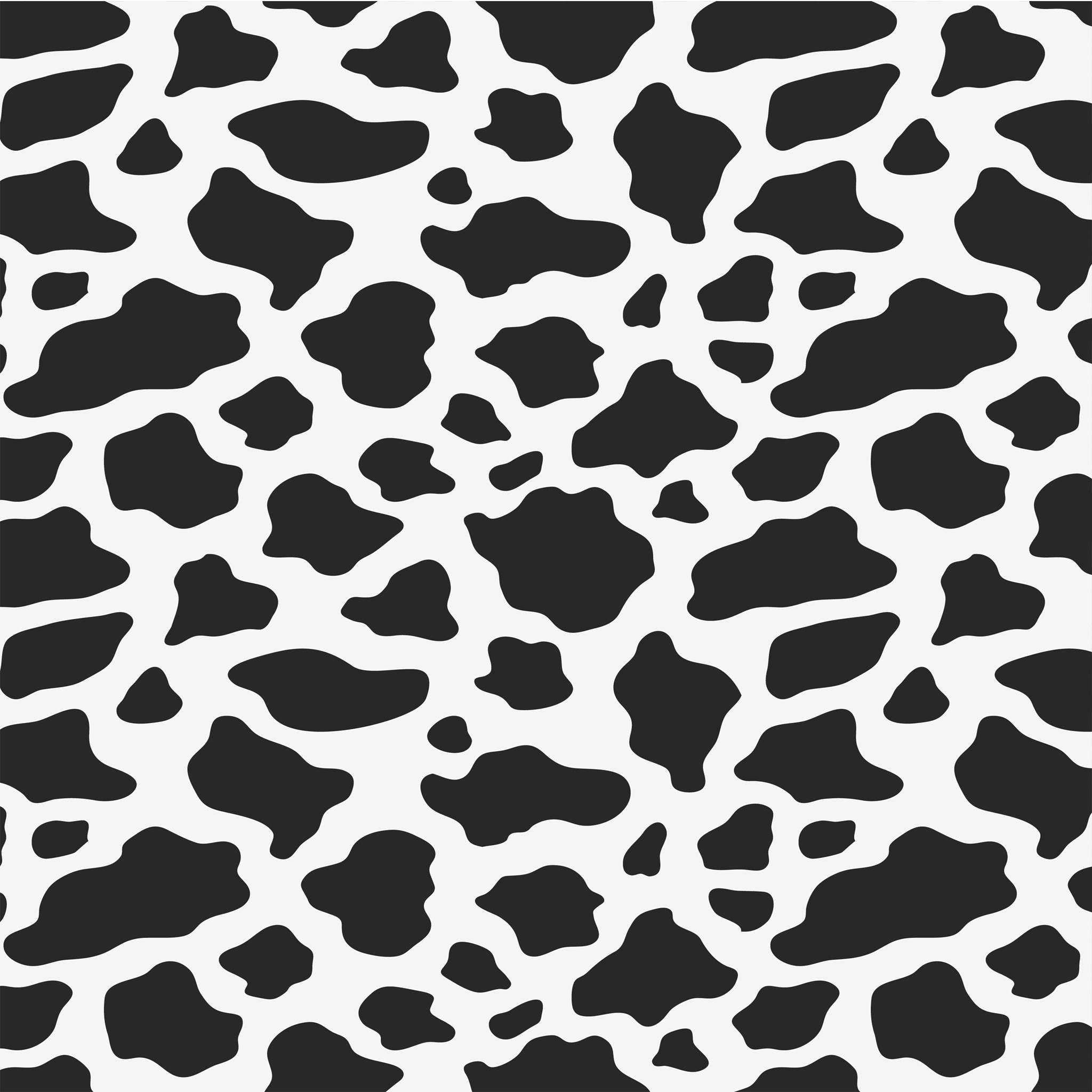 Black Cow Print