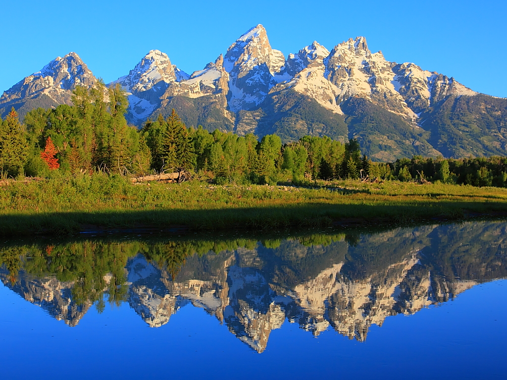 IMG_1612 Schwabacher Landing, Grand Teton National Park
