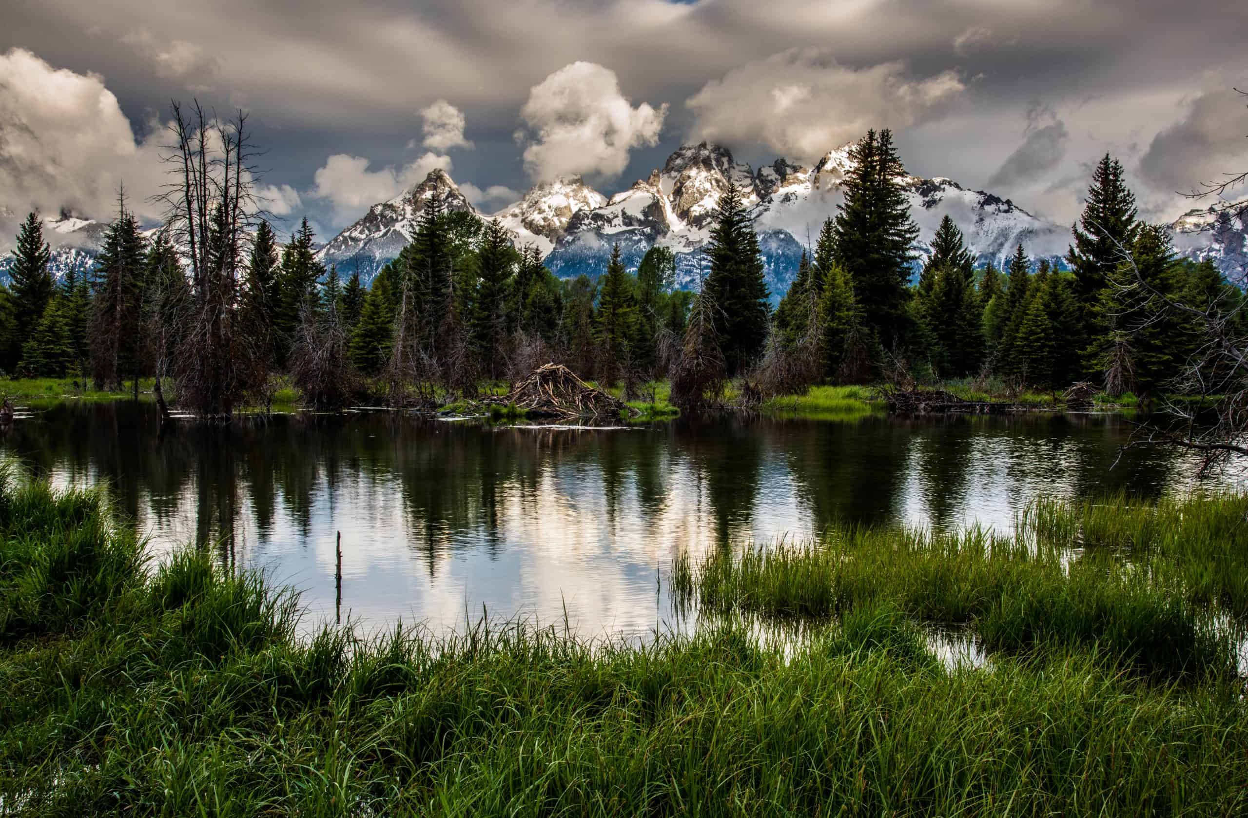 Guide to Visiting Grand Teton National Park in the Spring
