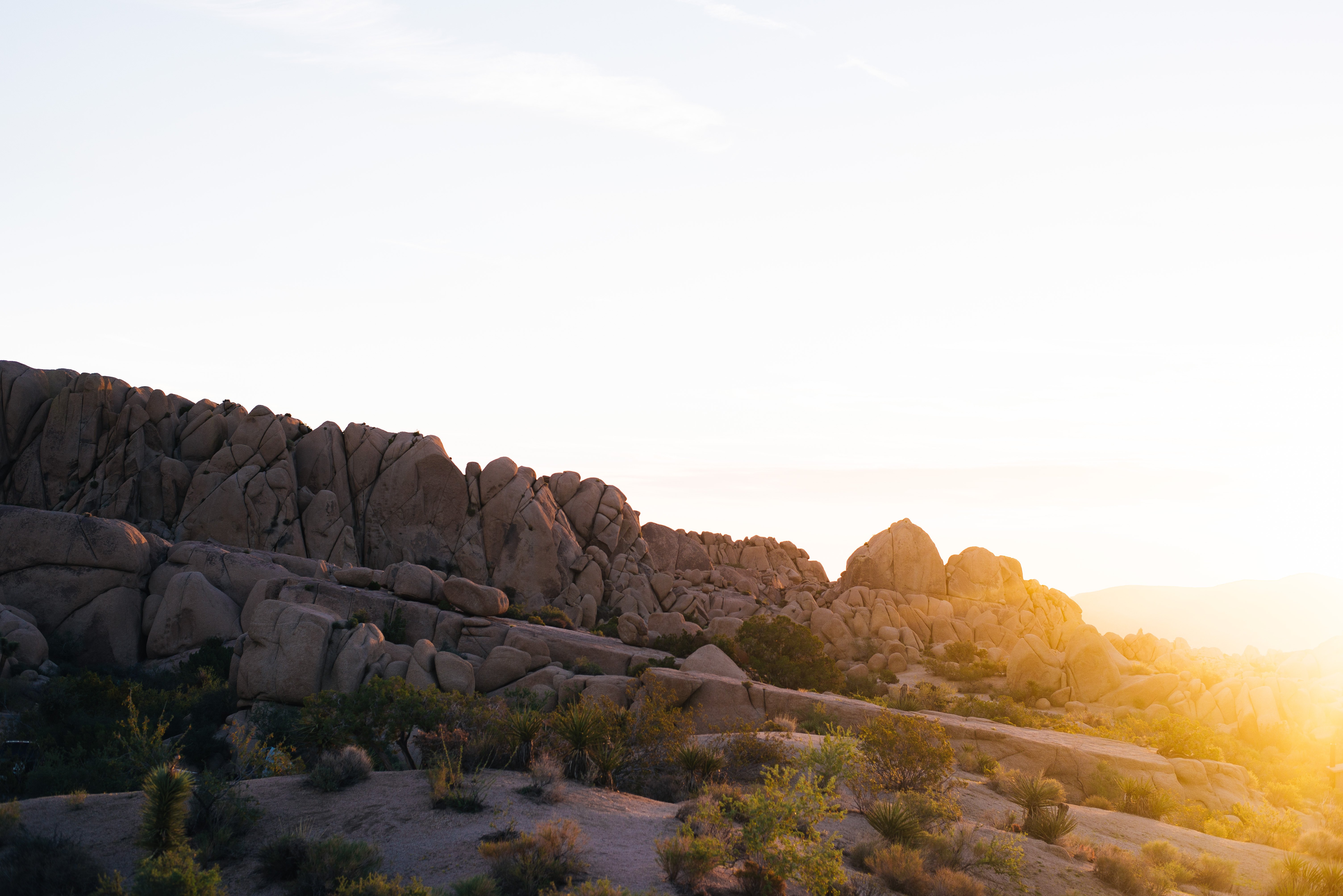Sunrise in Joshua Tree National Park California 4K wallpaper