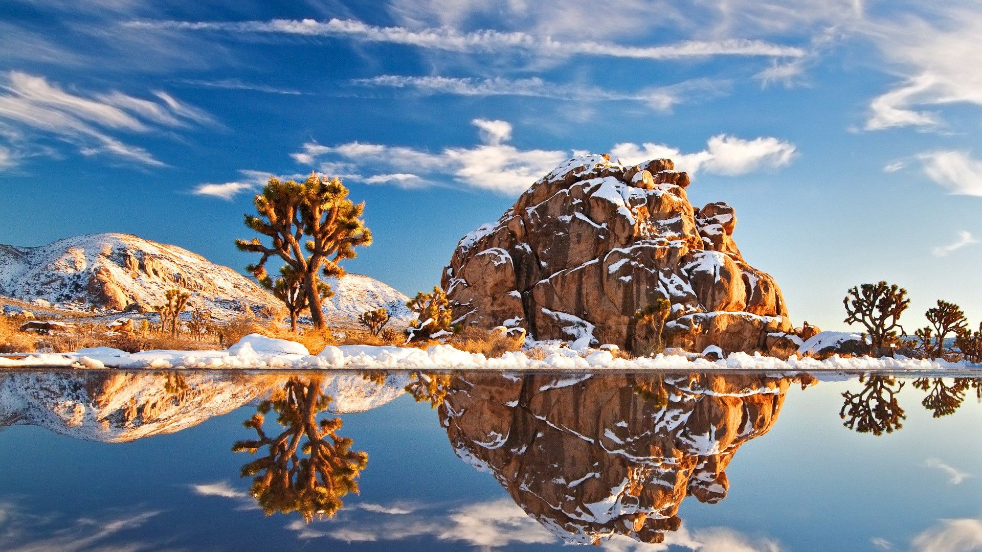 Joshua Tree National Park [1920X1080]. Joshua tree national park, Joshua tree park, Beautiful scenery photography