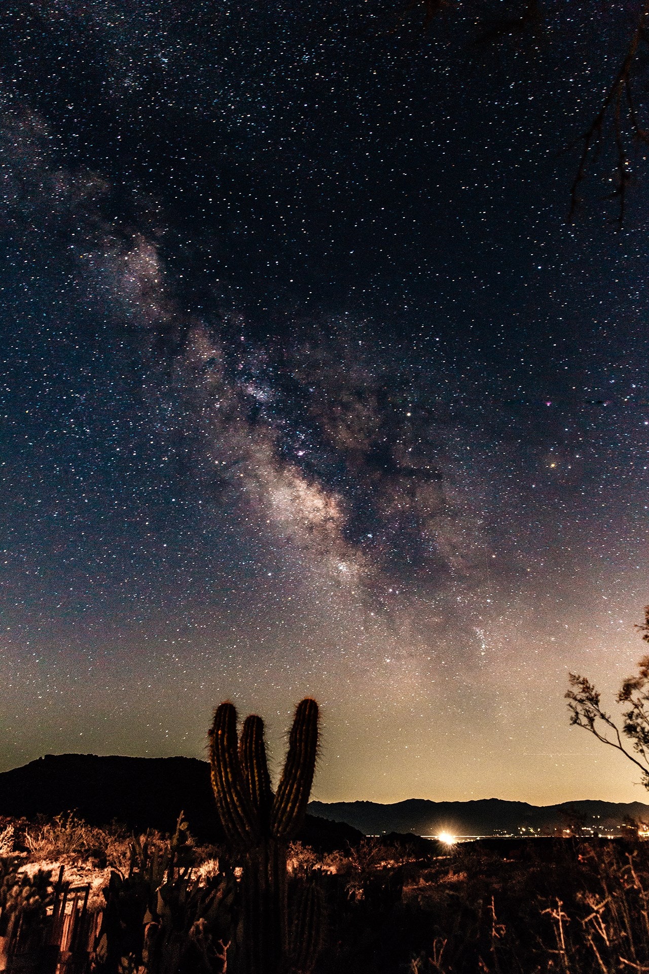 Joshua Tree National Park, California: the ultimate guide