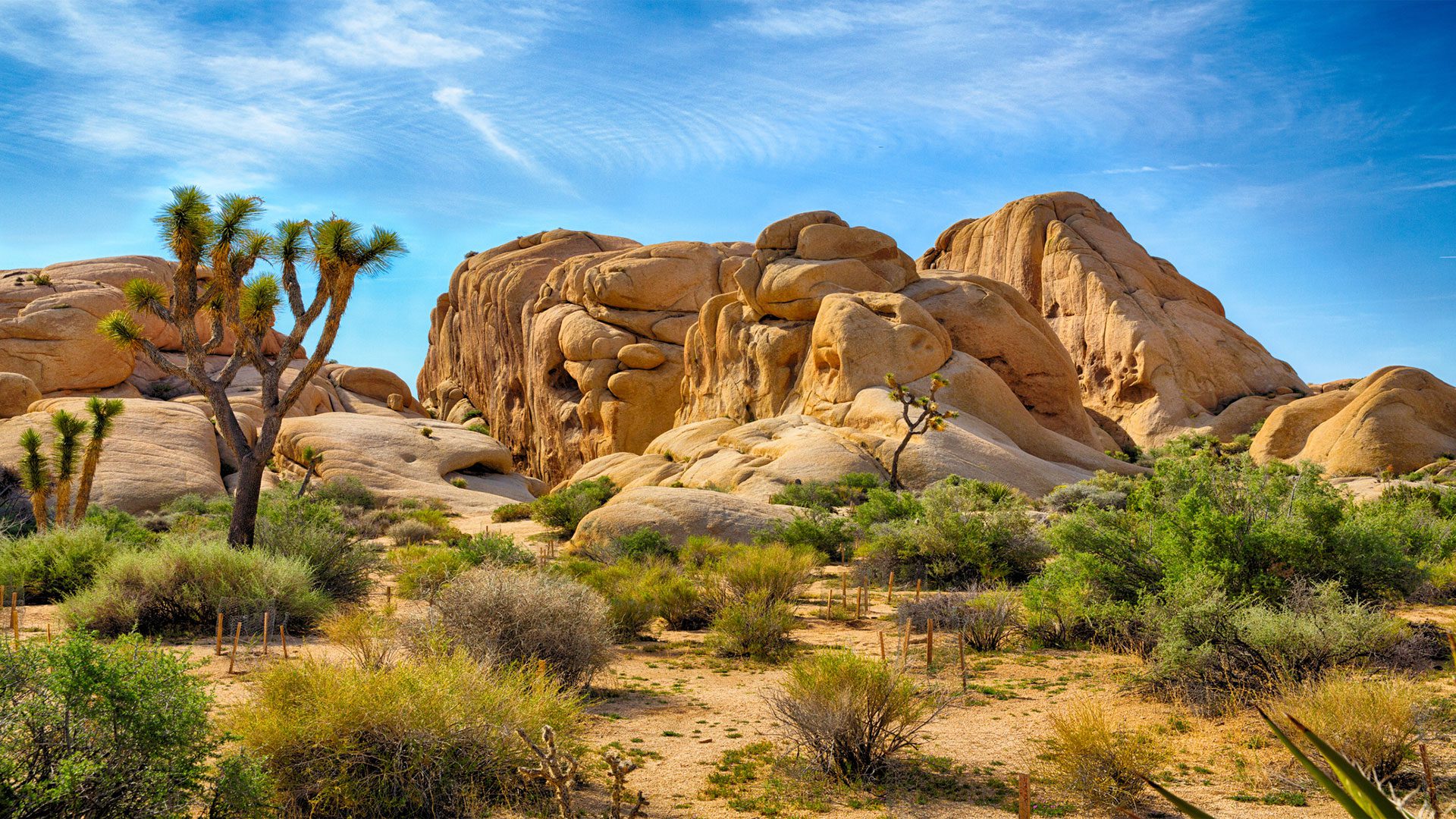 Joshua Tree National Park Spring Resort & Spa