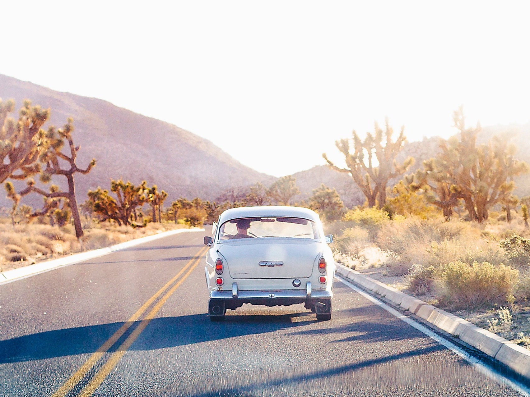 Joshua Tree National Park, California: the ultimate guide