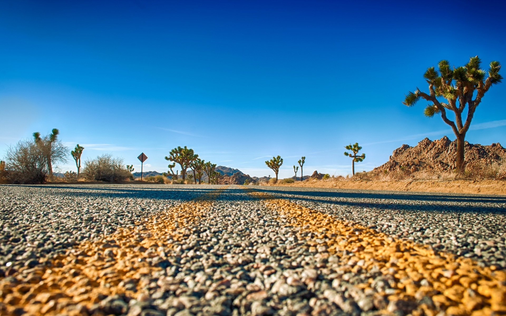 Wallpaper Joshua Tree National Park, California, USA, road, trees, sky 1920x1200 HD Picture, Image