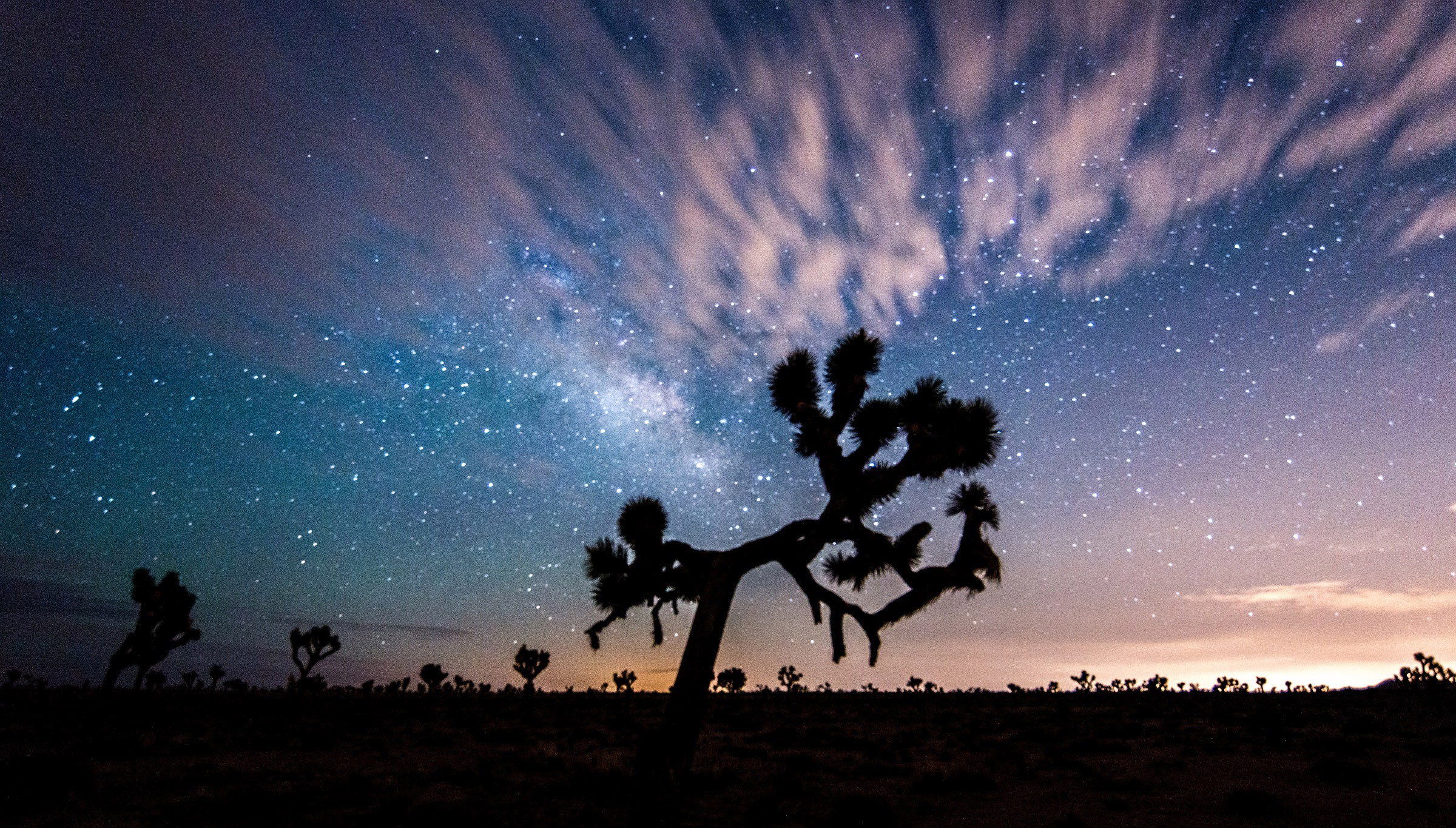 Landscape, night sky, and clouds at Joshua Tree National Park, California image Domain photo