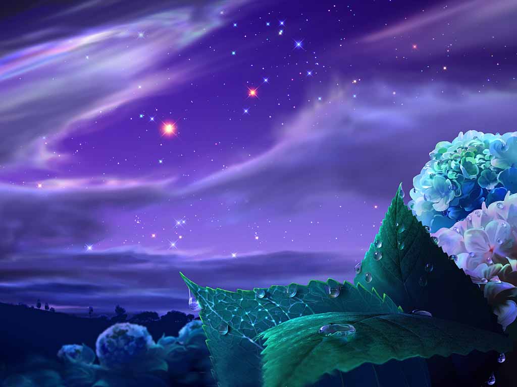 3D Night Time Wallpaper Free 3D Night Time Background