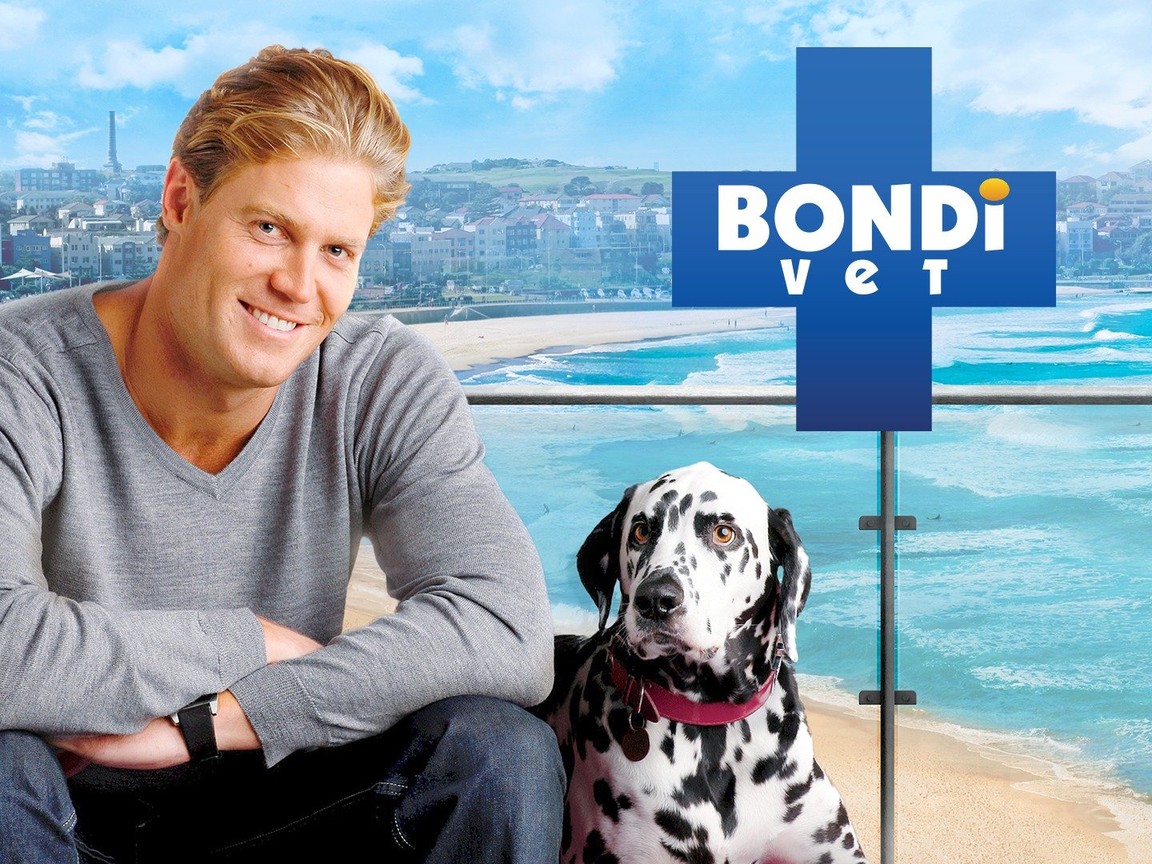 Bondi Vet Picture