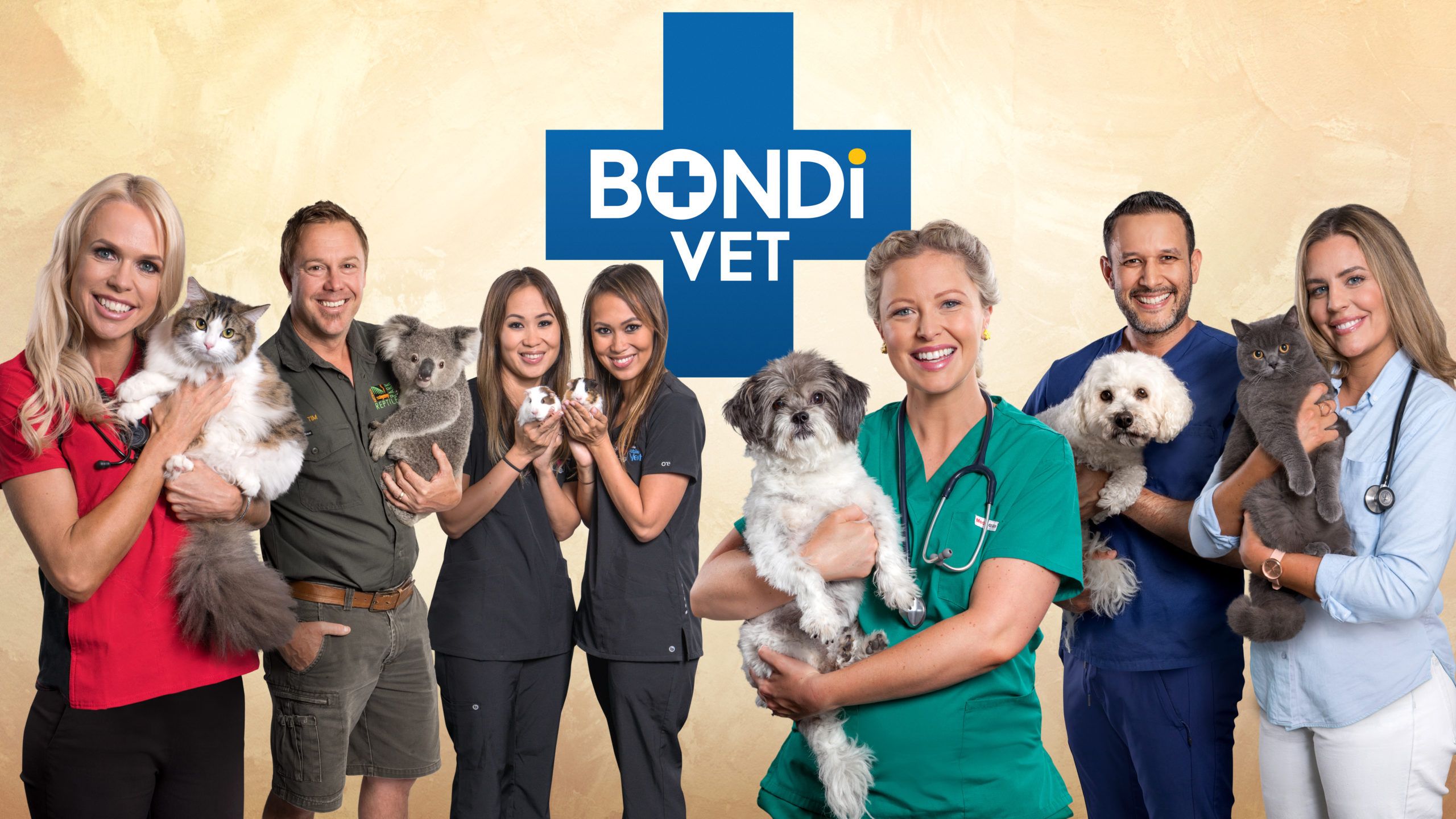 Bondi Vet