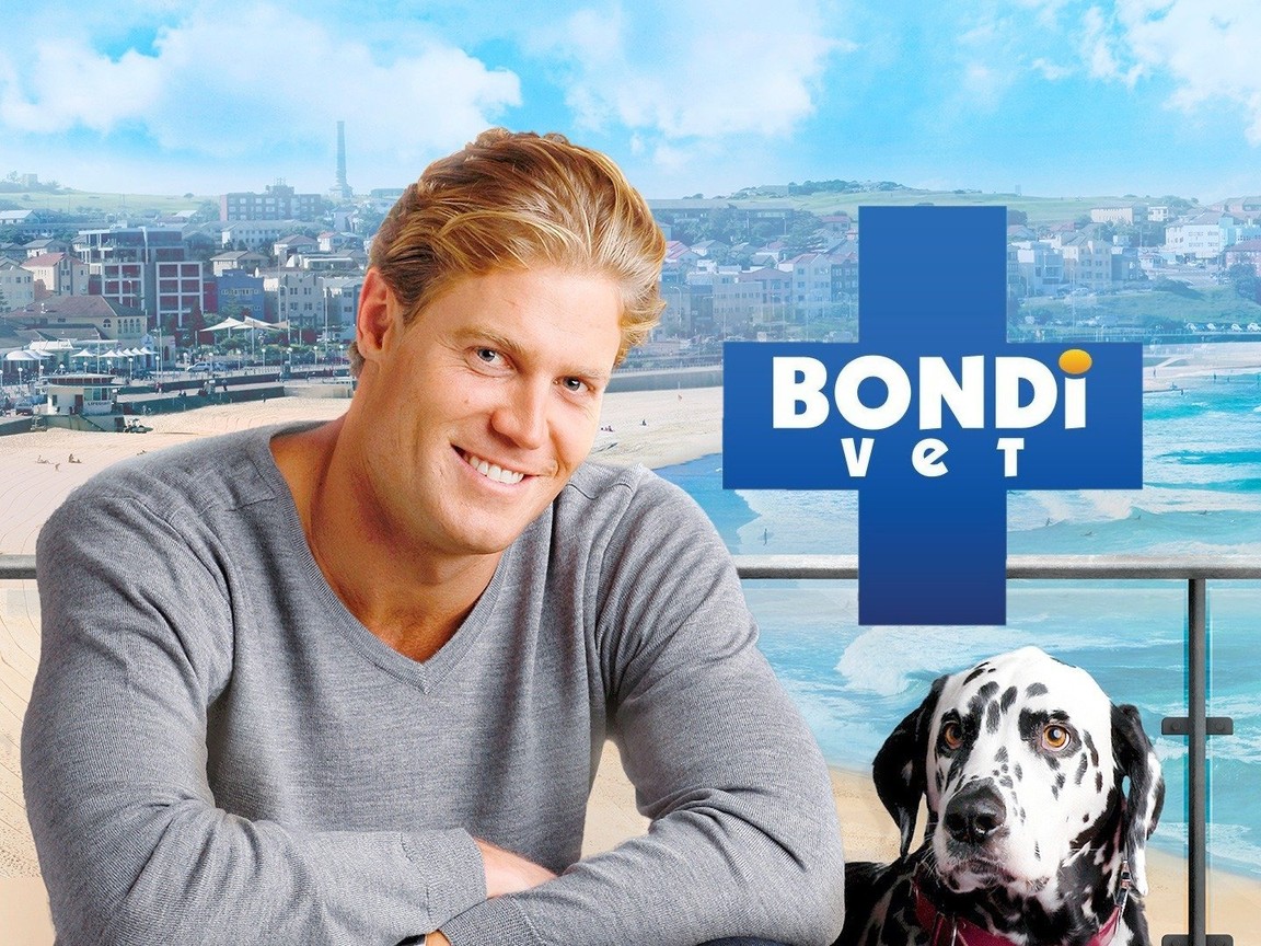 Bondi Vet Picture