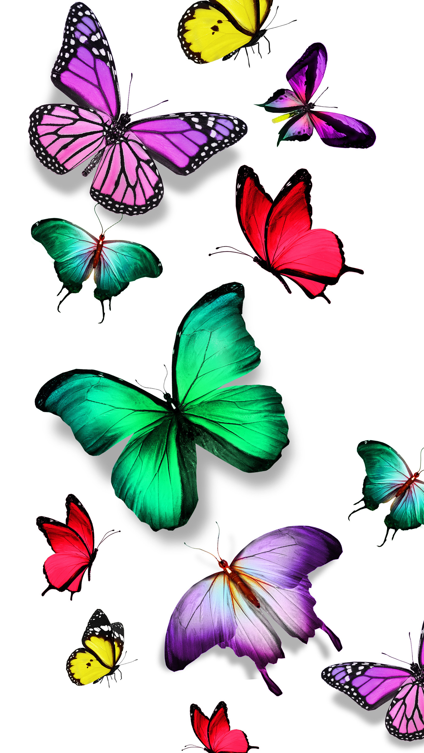 colorful butterfly wallpaper, butterfly, insect, moths and butterflies, pollinator, clip art