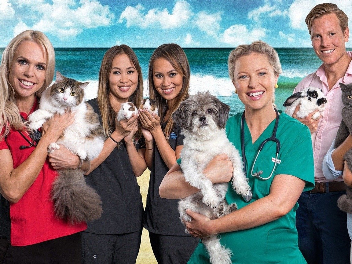 Bondi Vet Picture