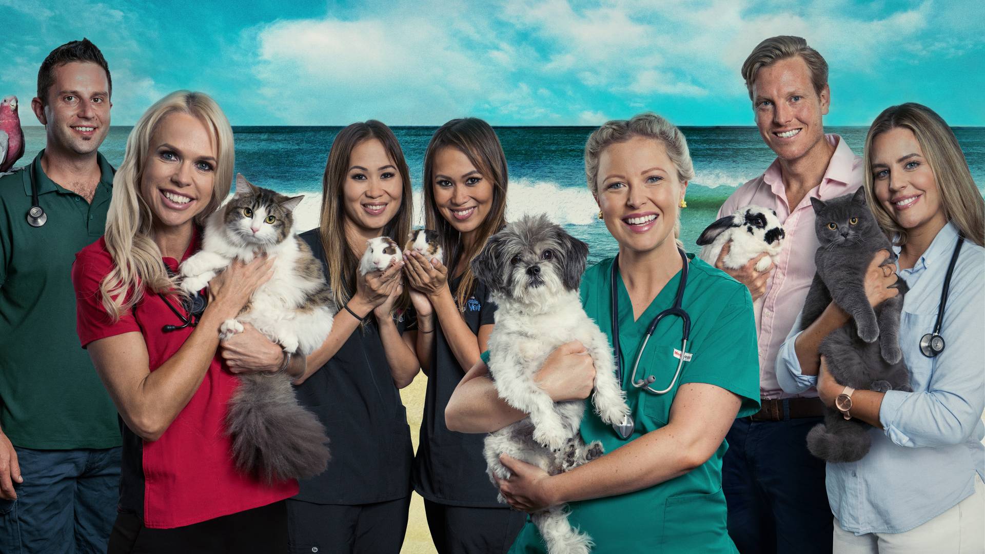 Bondi Vet: Coast To Coast. Shows. discovery+