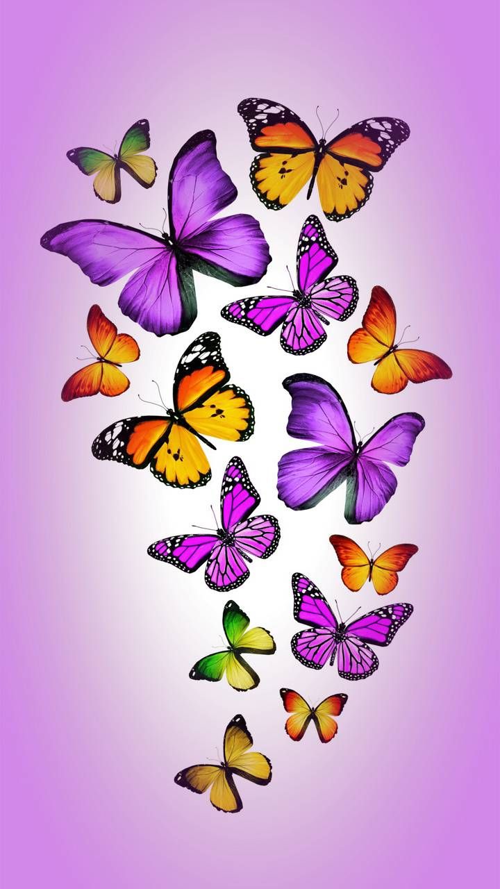 Download Butterflies wallpaper by _MARIKA_ now. Browse millions of popular b. Butterfly wallpaper, Purple butterfly wallpaper, Butterfly art