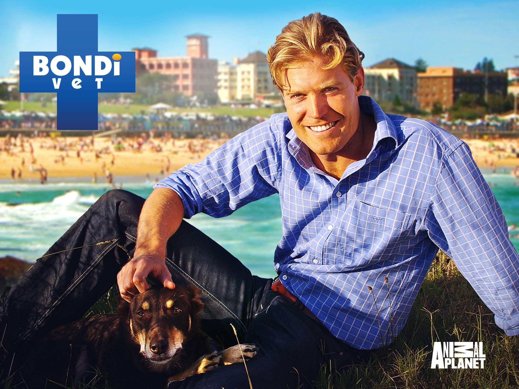 Watch Bondi Vet Season 5