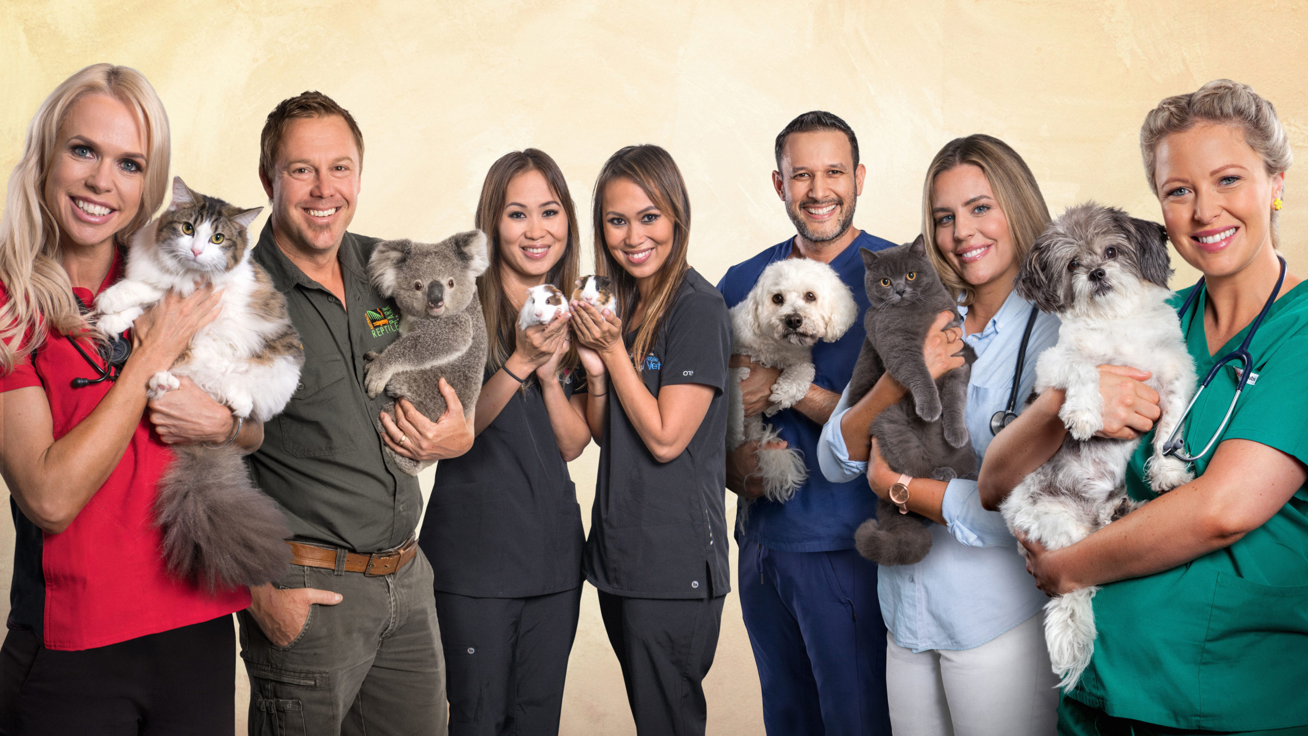 Bondi Vet bolstered