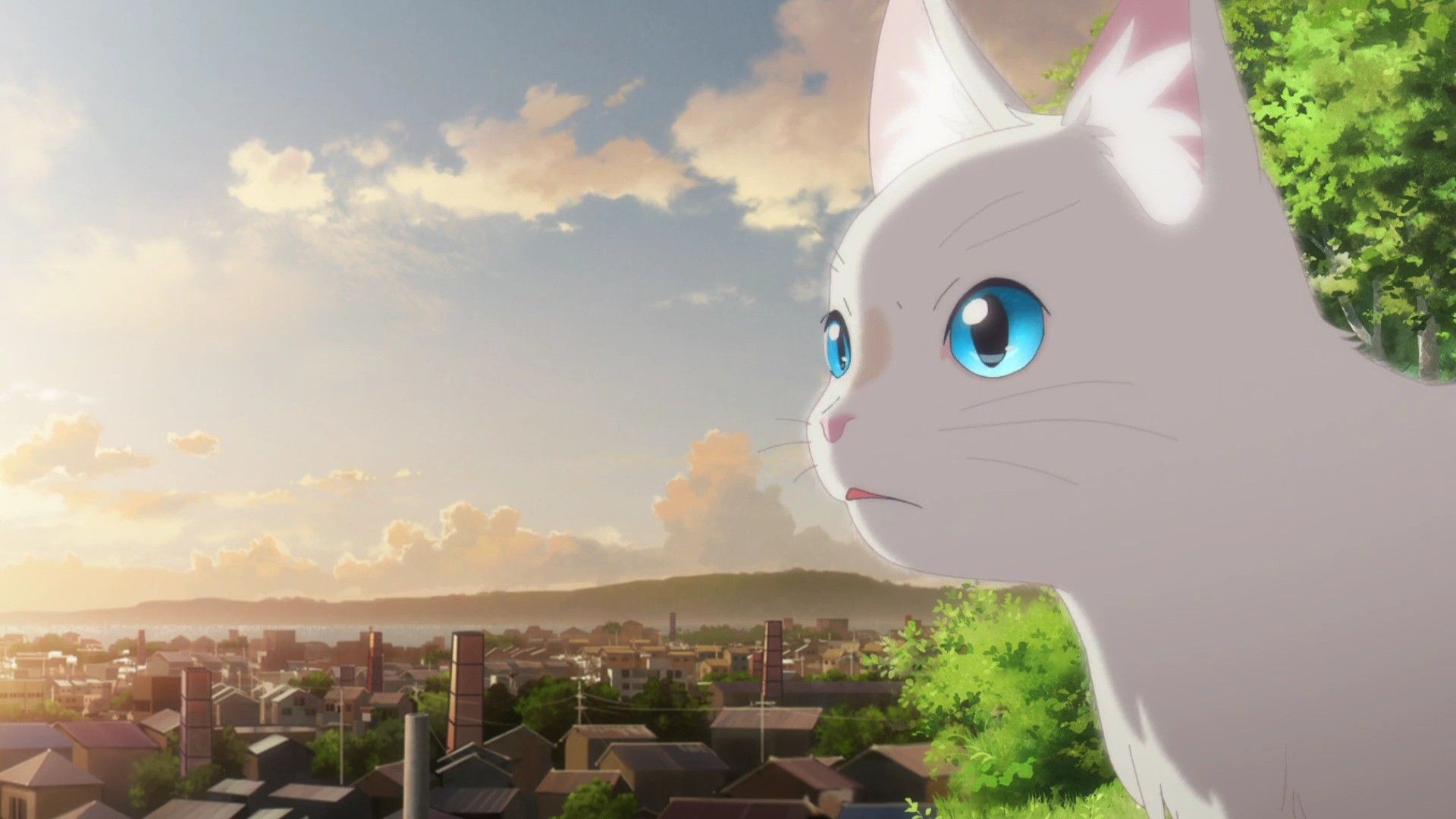 Miyo Sasaki Taro. A Whisker Away; Nakitai Watasgi Wa Neko O Kaburu. Anime Wallpaper, Anime Cat, Anime Films