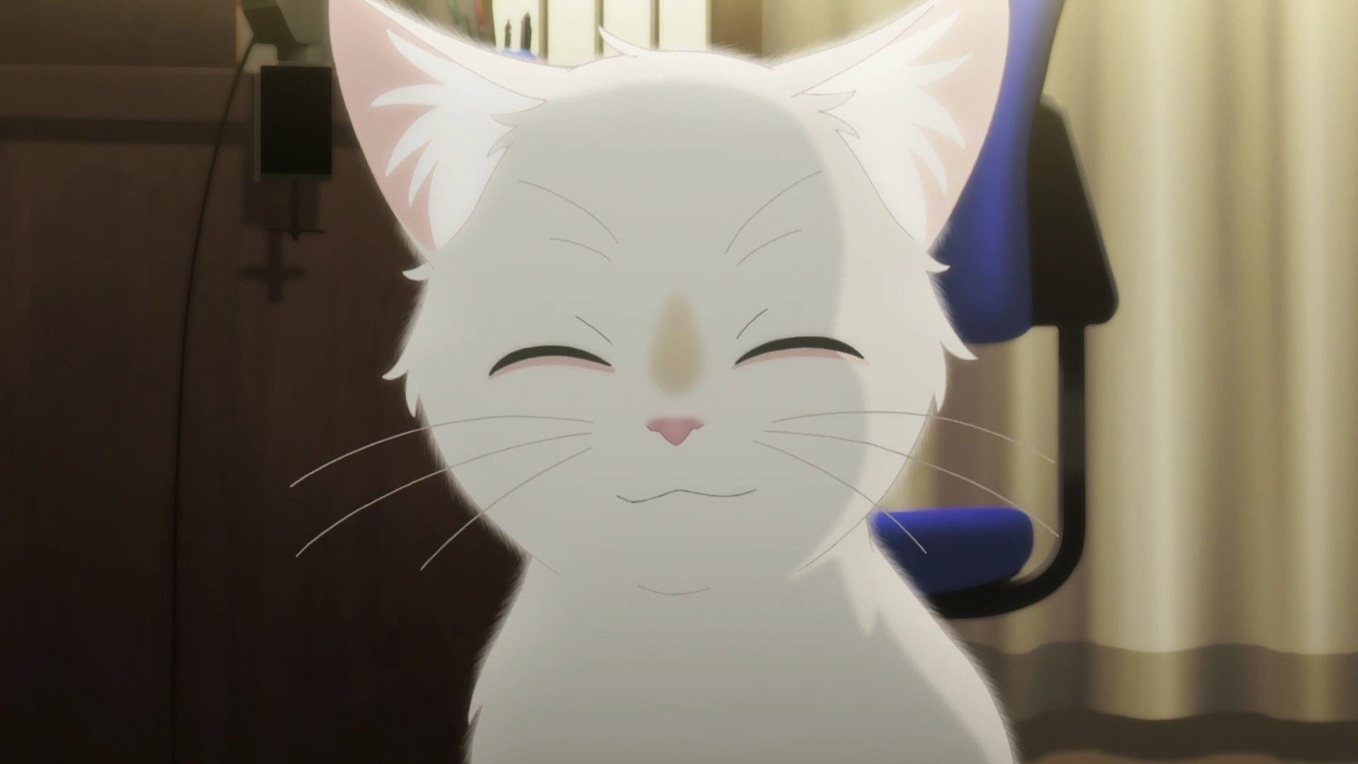 Miyo Sasaki Taro. A Whisker Away; Nakitai Watasgi Wa Neko O Kaburu. Aesthetic Anime, Anime Films, Anime Cat