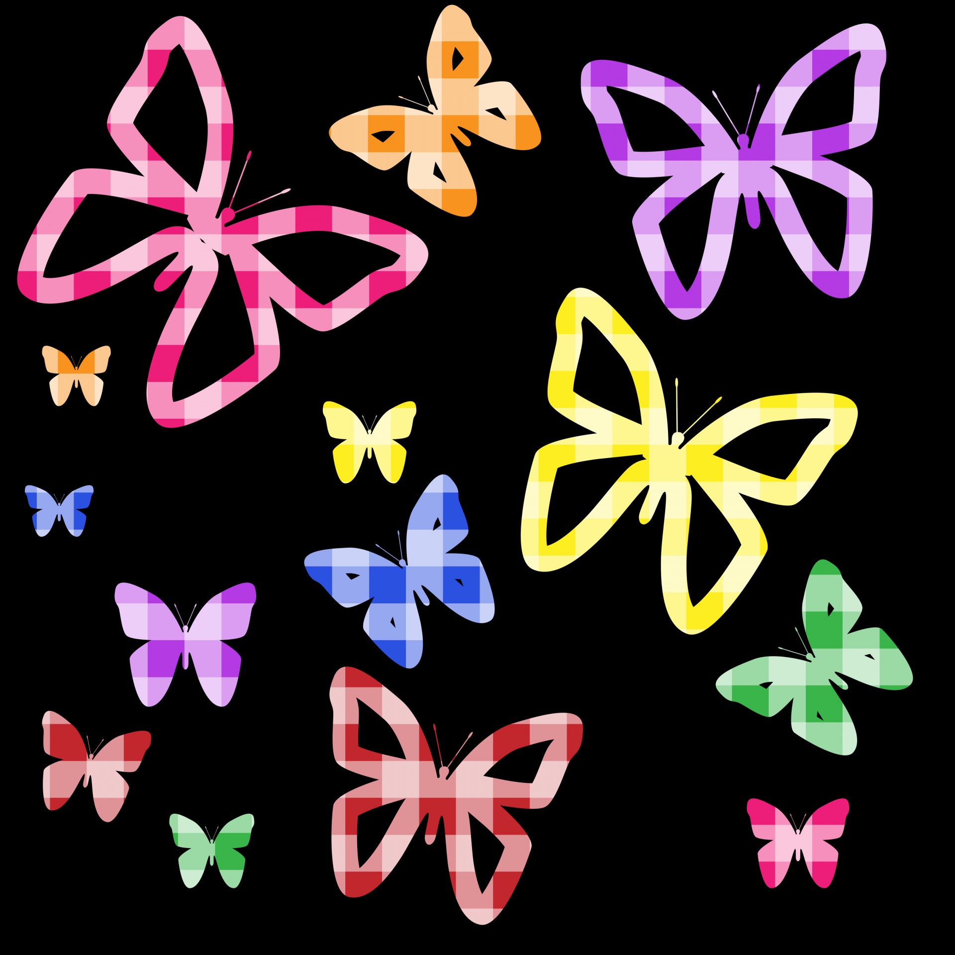 Butterfly, butterflies, colorful, check, checks