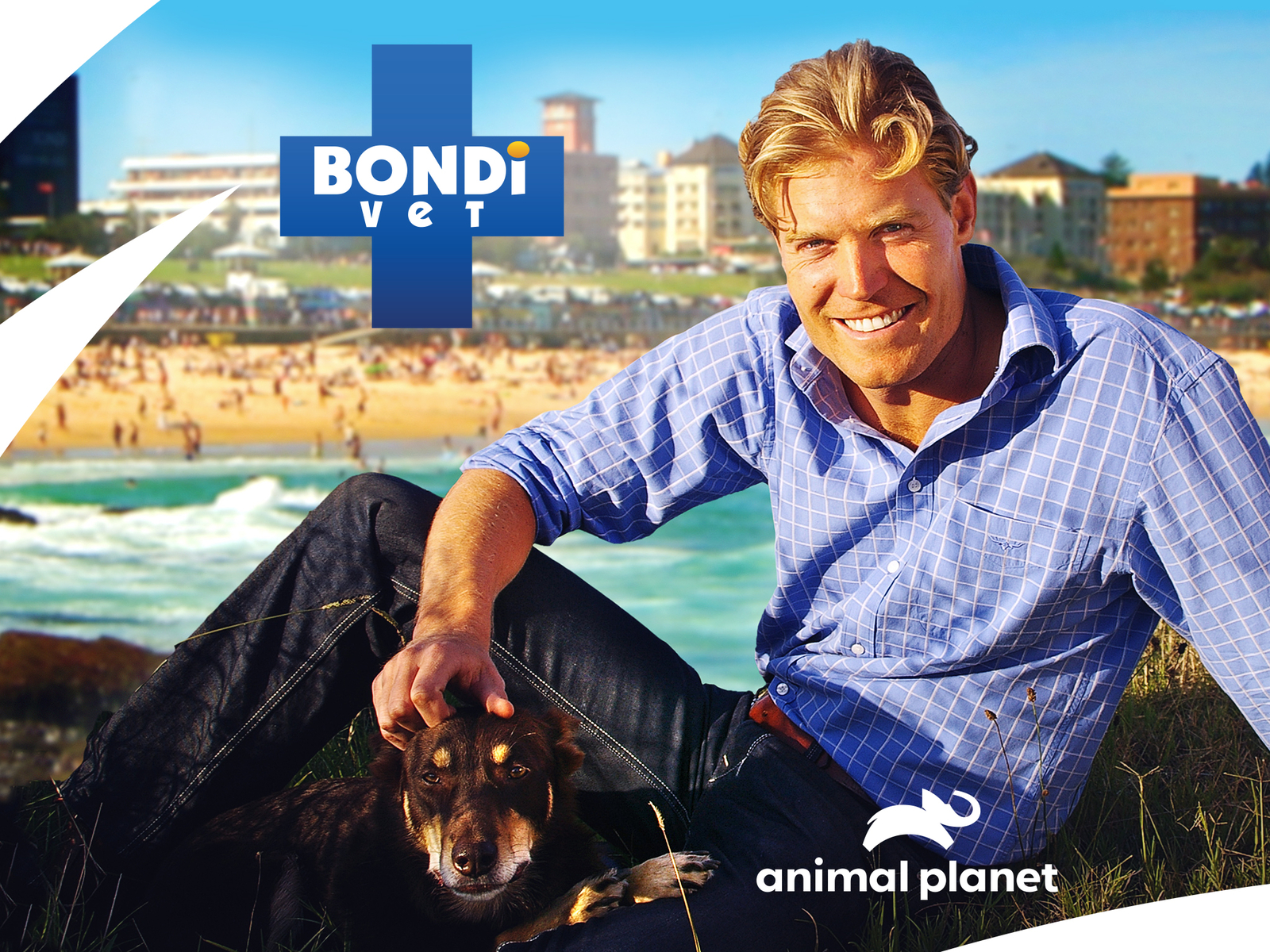 Bondi Vet
