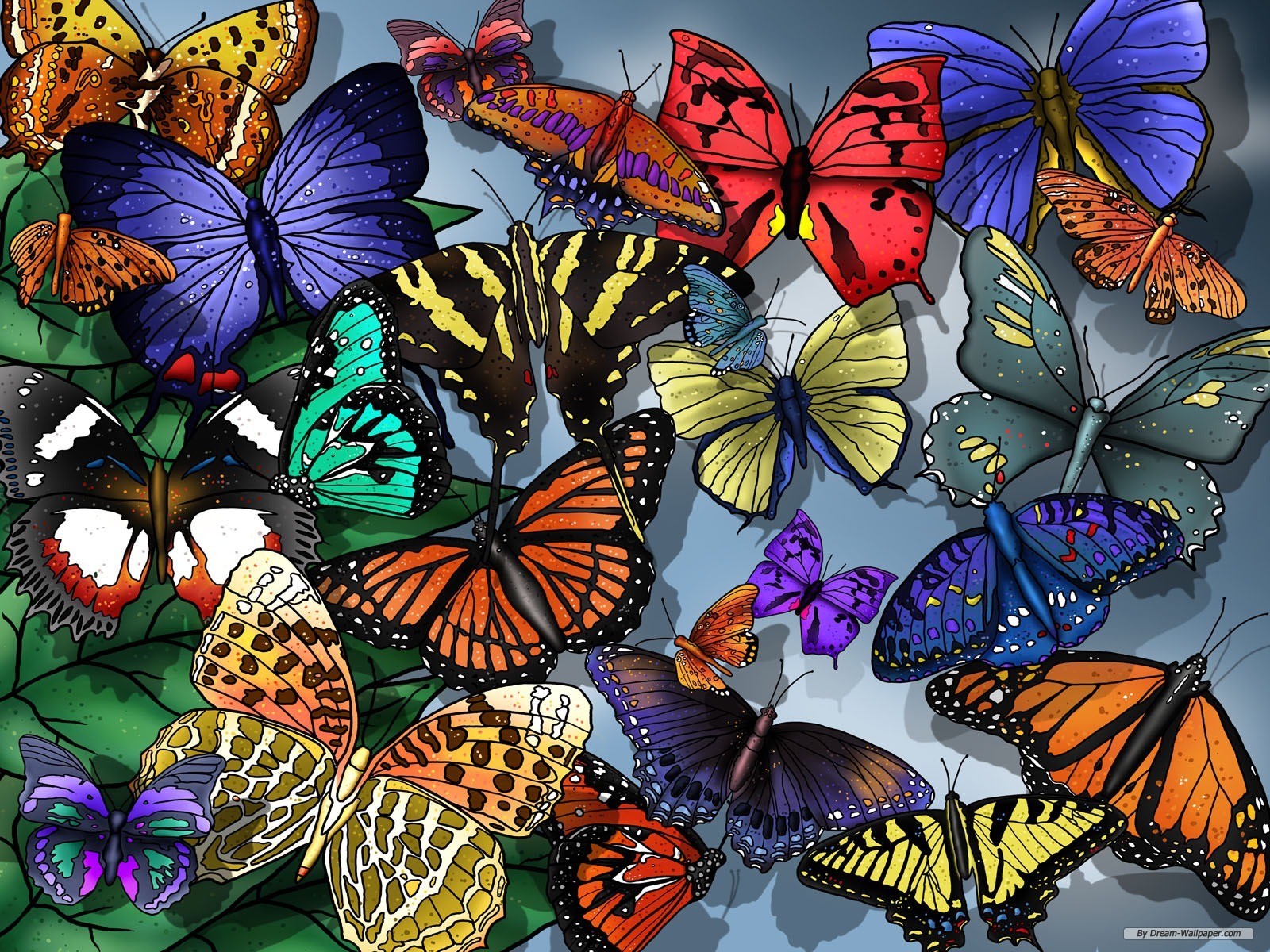 Butterfly wallpaperx1200