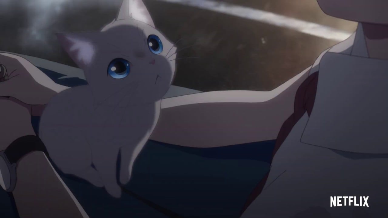 Netflix Anime Film 'A Whisker Away' New Promotional Video Features Ending Song. MOSHI MOSHI NIPPON. もしもしにっぽん