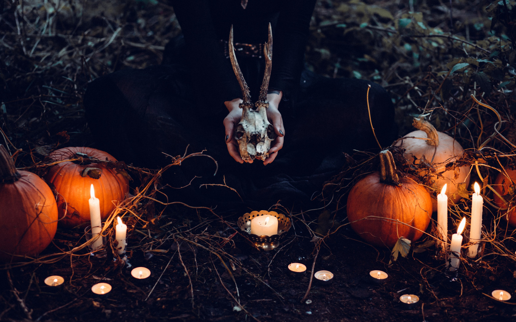 Download wallpaper: Halloween ritual 1680x1050
