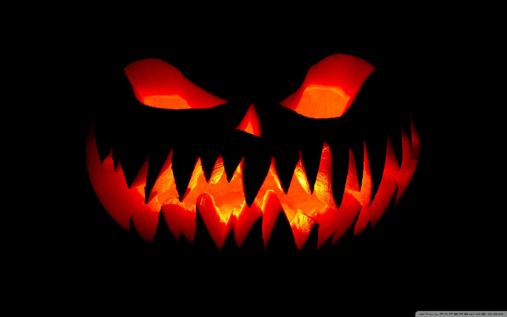 Happy Halloween 2019 Ultra HD Desktop Background Wallpaper for 4K UHD TV, Widescreen & UltraWide Desktop & Laptop, Multi Display, Dual Monitor, Tablet