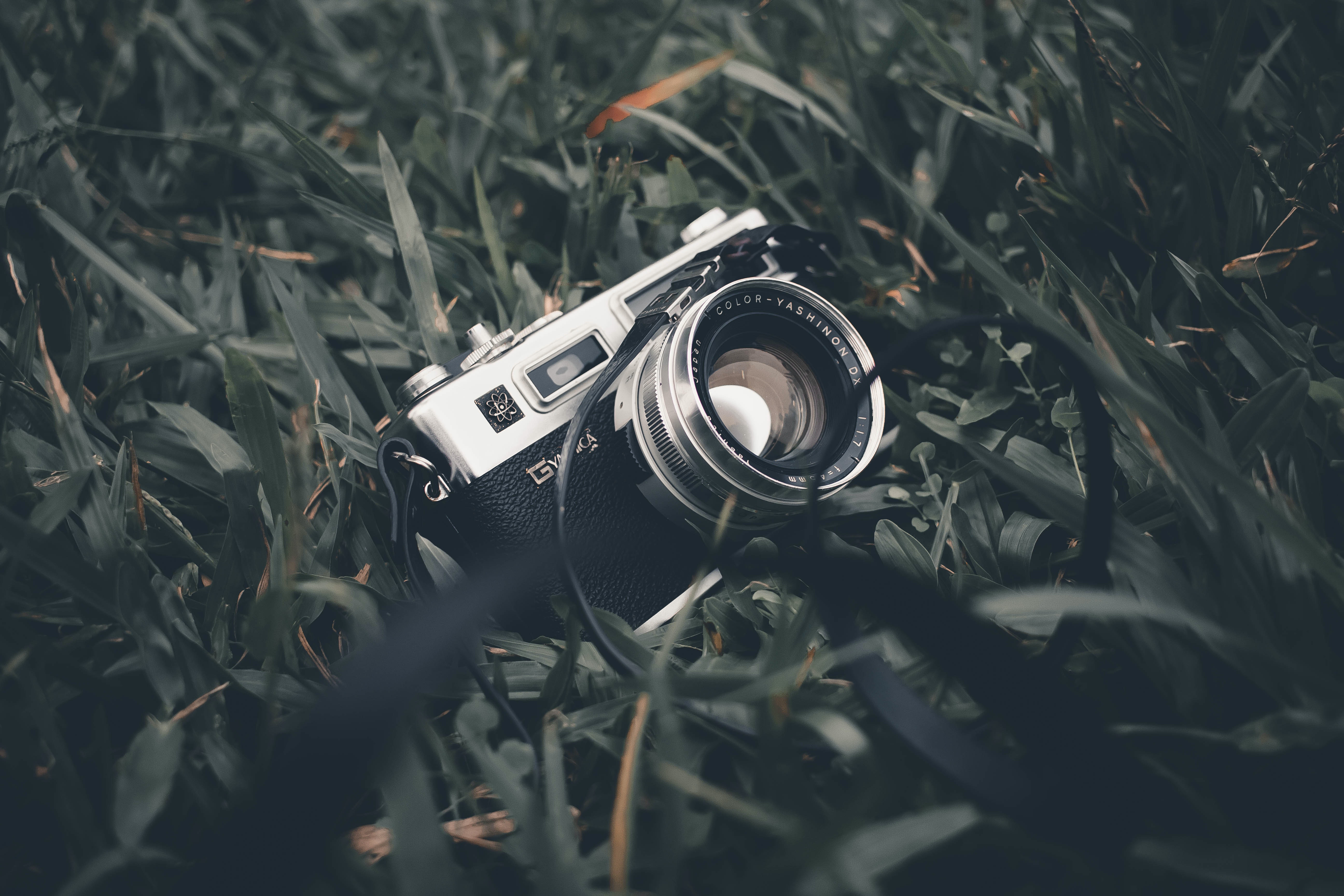 Grey and Black Camera On Green Background · Free