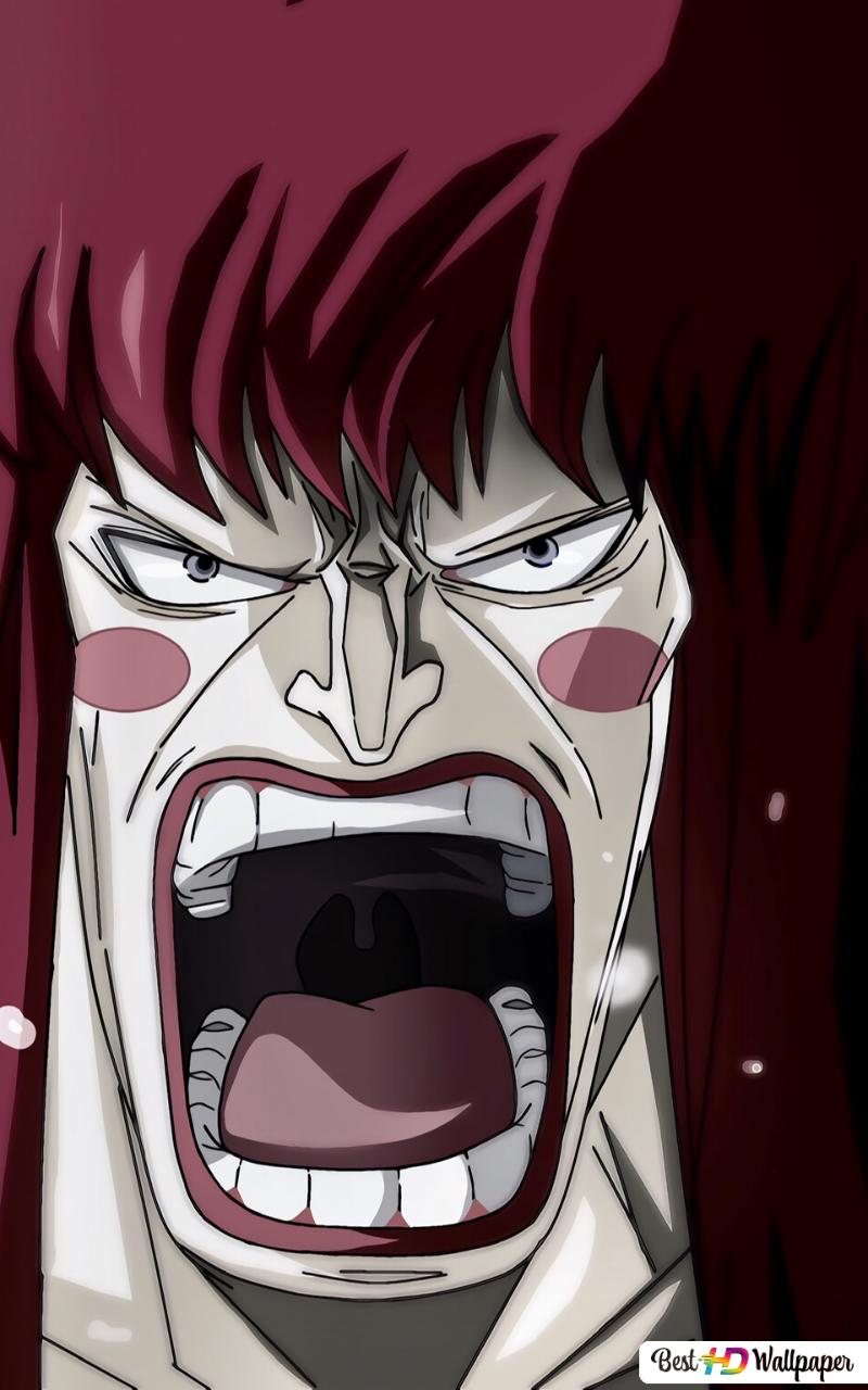 Free download One Piece Kanjuro HD wallpaper download One Piece wallpaper [800x1280] for your Desktop, Mobile & Tablet. Explore Kanjuro Wallpaper