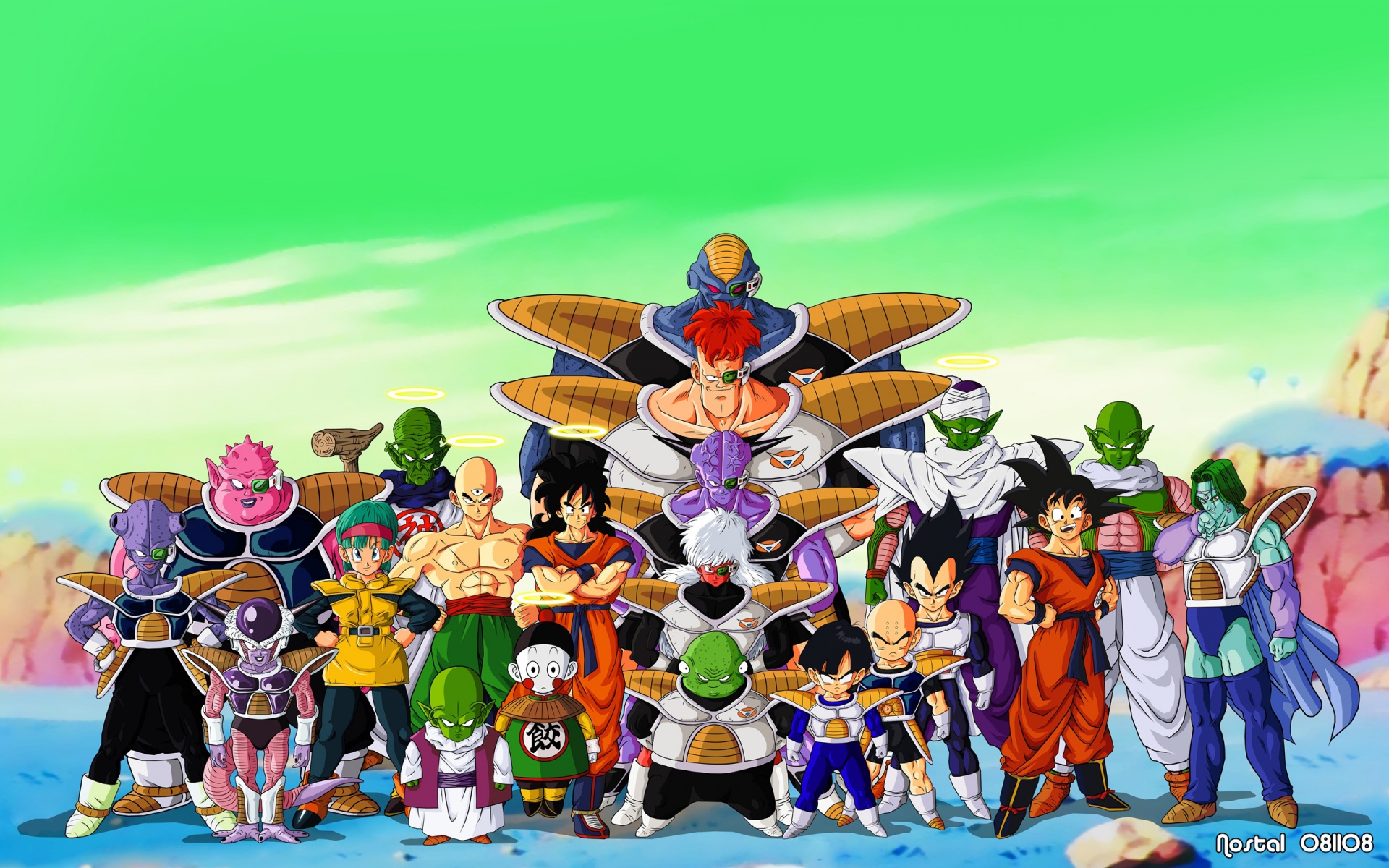 Dragon Ball Z Team HD Widescreen S wallpaper