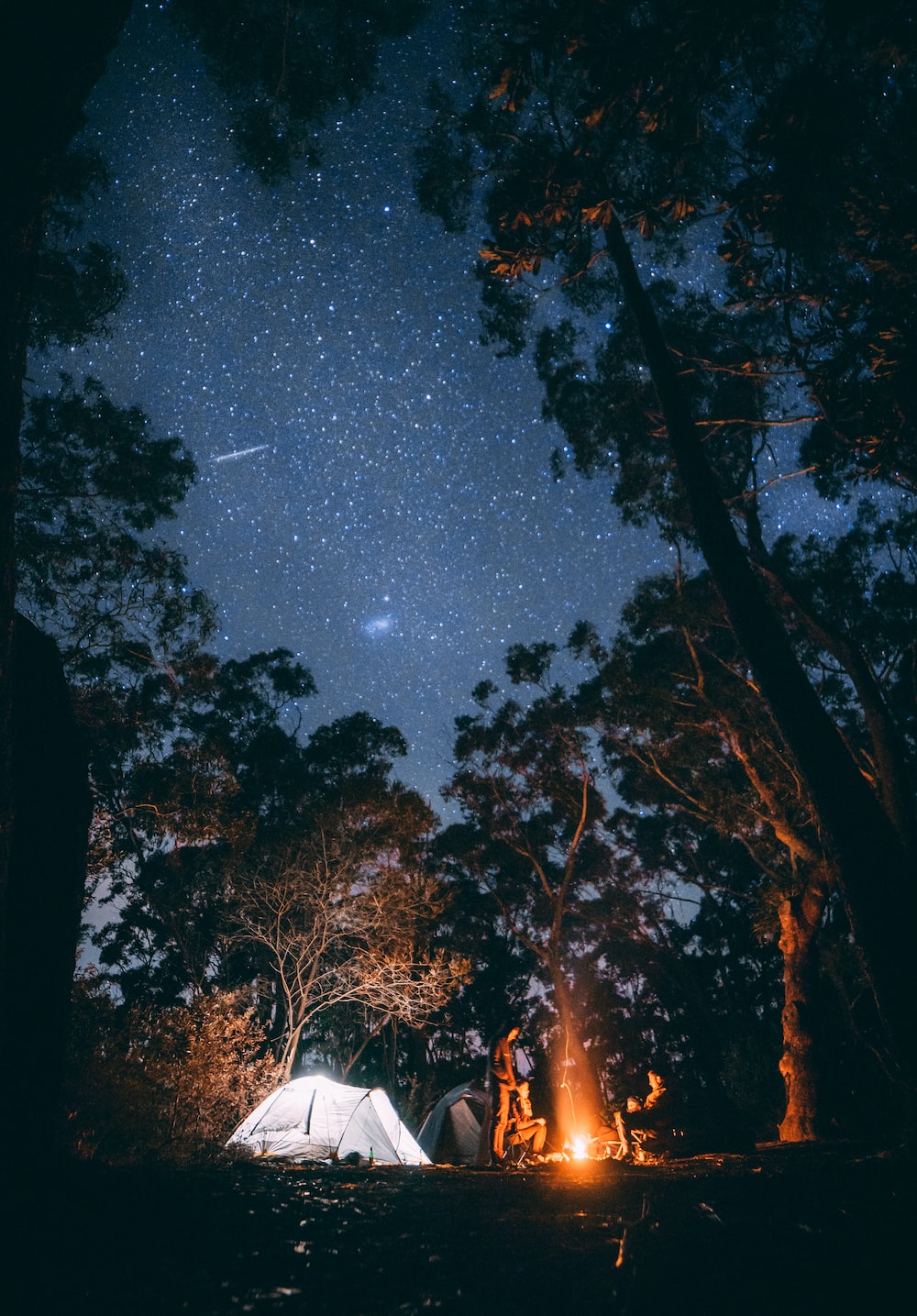 Night Camping Picture [HD]. Download Free Image