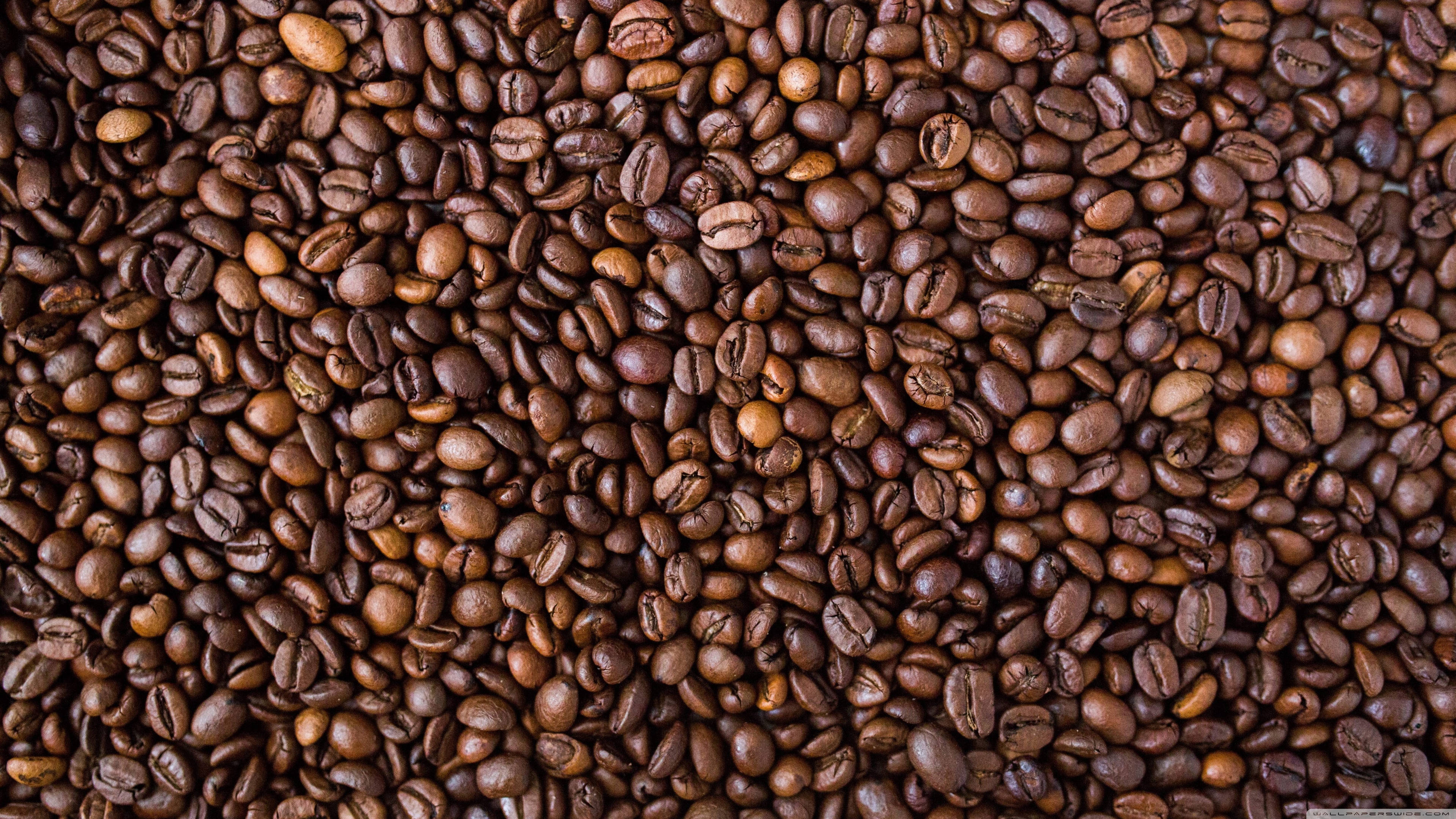 Coffee Beans Ultra HD Desktop Background Wallpaper for 4K UHD TV, Widescreen & UltraWide Desktop & Laptop, Multi Display, Dual & Triple Monitor, Tablet
