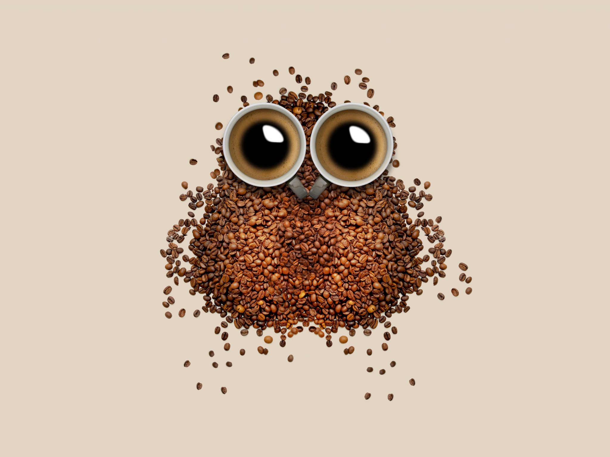 Coffee beans Wallpaper 4K, Owl, Coffee cup, Brown, Drinks, Caffeine, Food