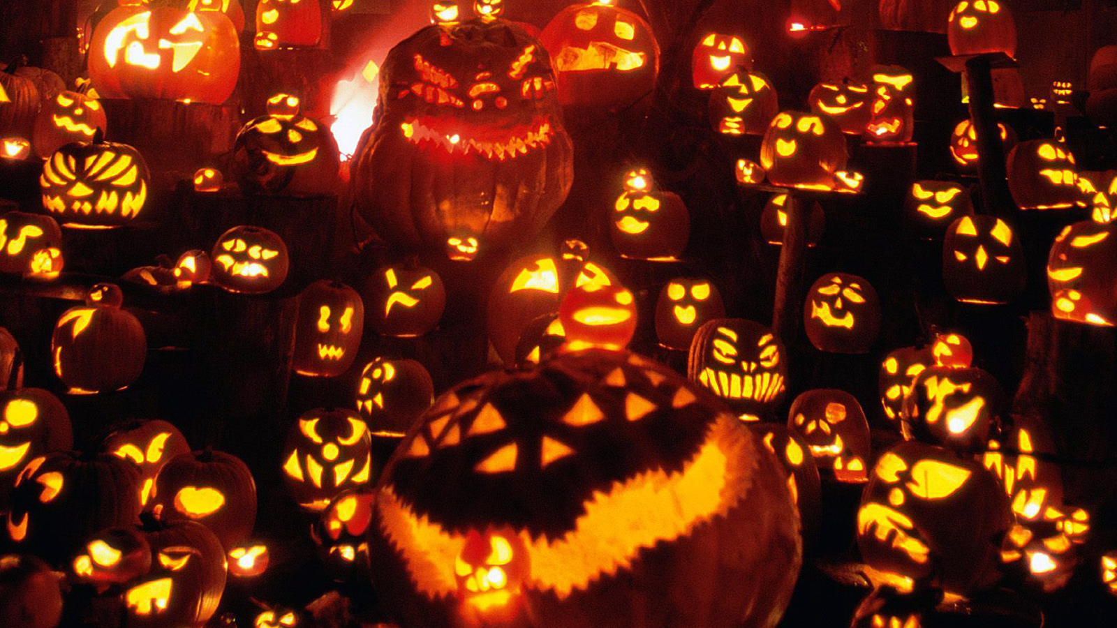 Free download Cool Halloween Wallpaper and Halloween Icon for Download [1600x1200] for your Desktop, Mobile & Tablet. Explore Free Halloween Wallpaper. Animated Halloween Wallpaper, Desktop Halloween Scary