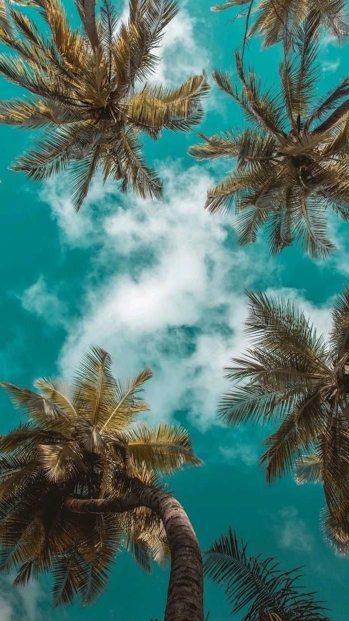 Summer Vibes Wallpaper