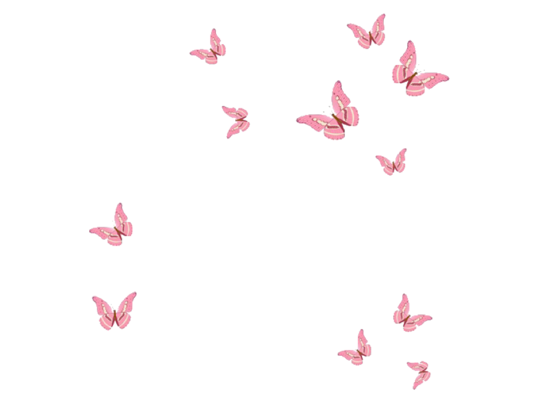 Transparent Butterfly Wallpaper Free Transparent Butterfly Background