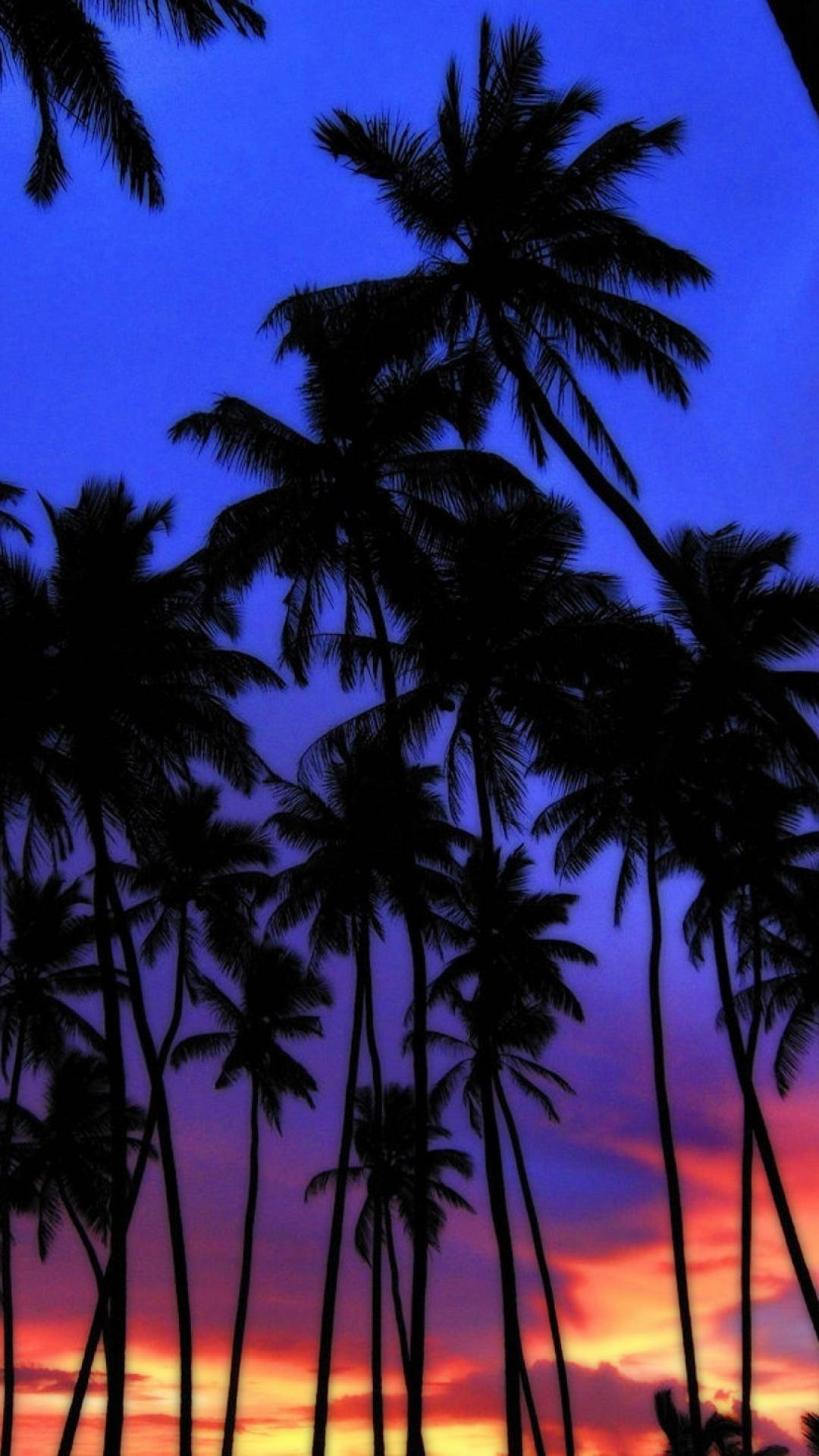 Download Romantic Island Palm Tree Sunset Wallpaper