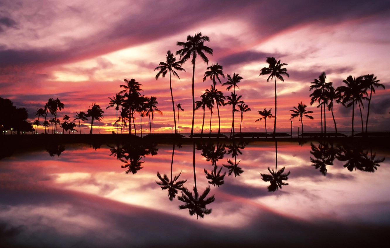 Wallpaper the sky, clouds, sunset, palm trees image for desktop, section пейзажи