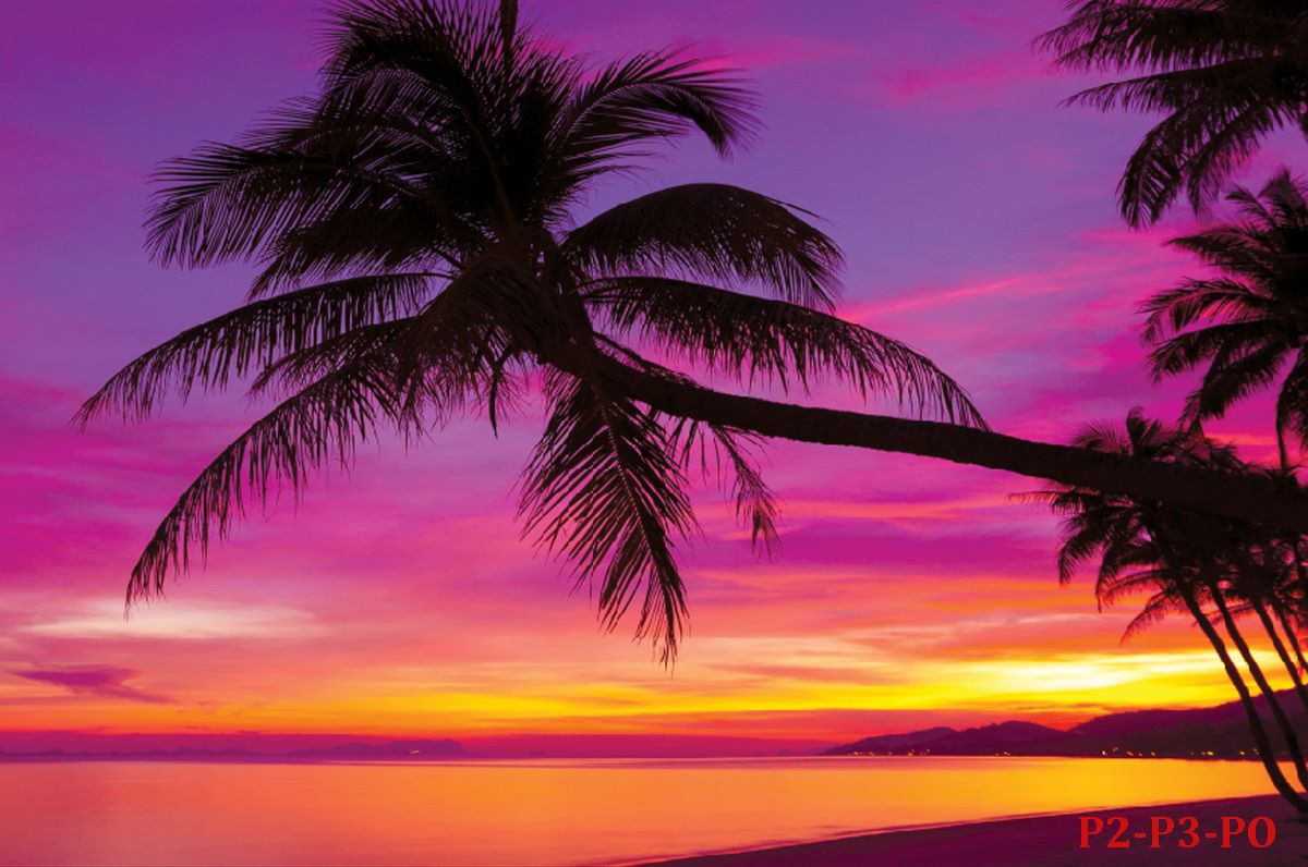 Wallpaper mural view sea sunset and palm trees in purple