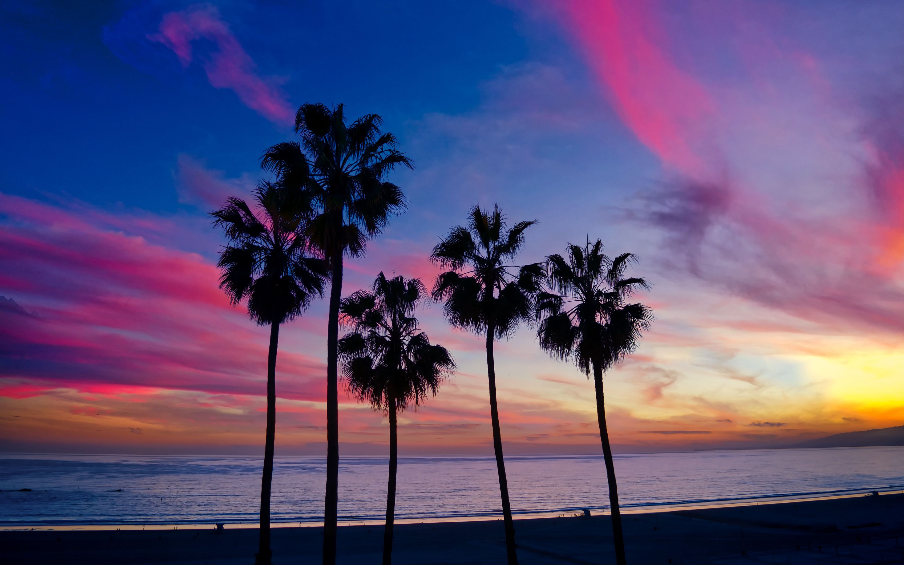 Download wallpaper 3840x2400 palm trees, sunset, silhouette, horizon 4k ultra HD 16:10 HD background