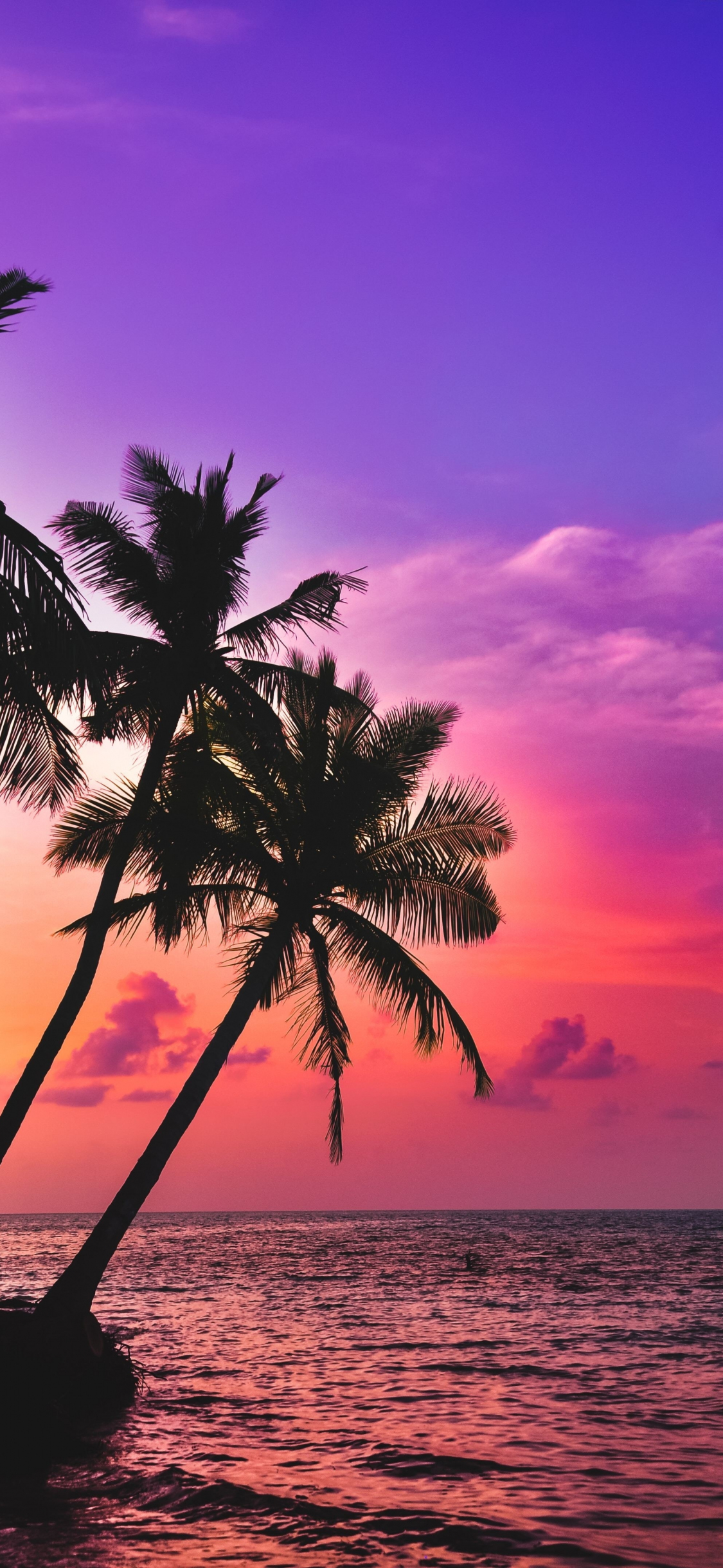 Download tropical island, beach, pink sky, sunset, palms 1125x2436 wallpaper, iphone x, 1125x2436 HD image, background, 21802