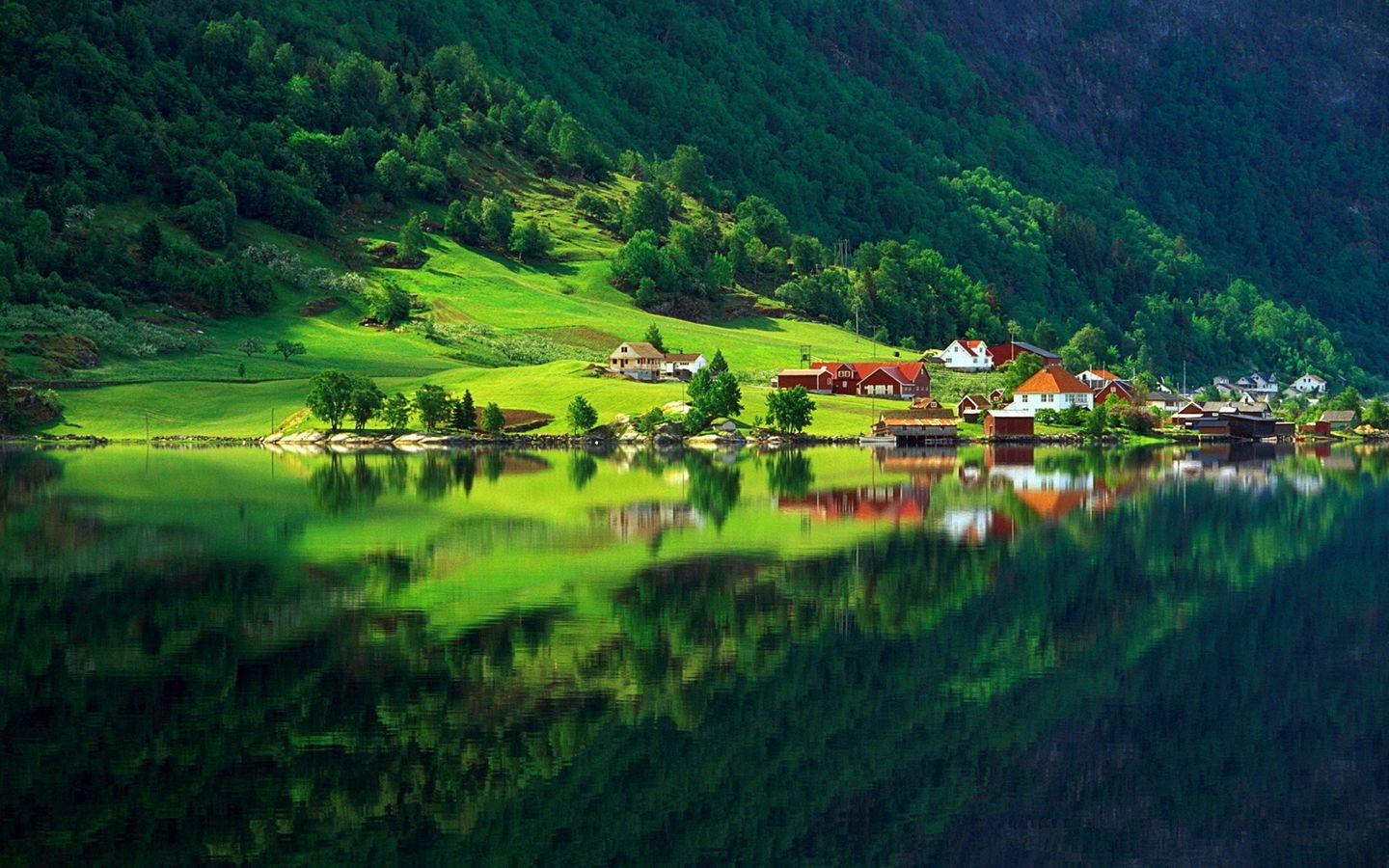 Download wallpaper 1440x900 village, mountain, bottom, lake, home, summer, reflection, protected widescreen 16:10 HD background