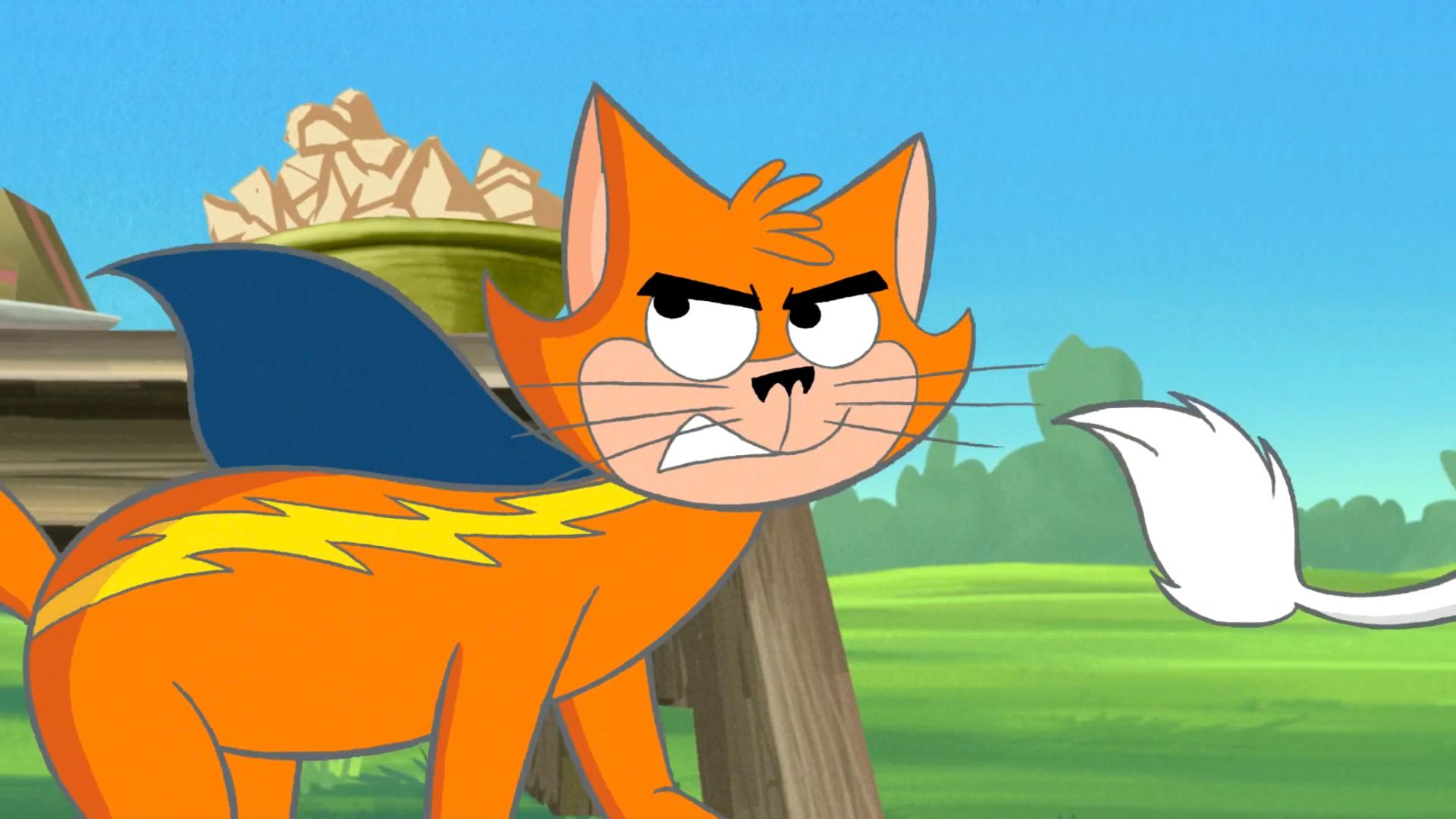 Streaky The Supercat Wallpapers Wallpaper Cave