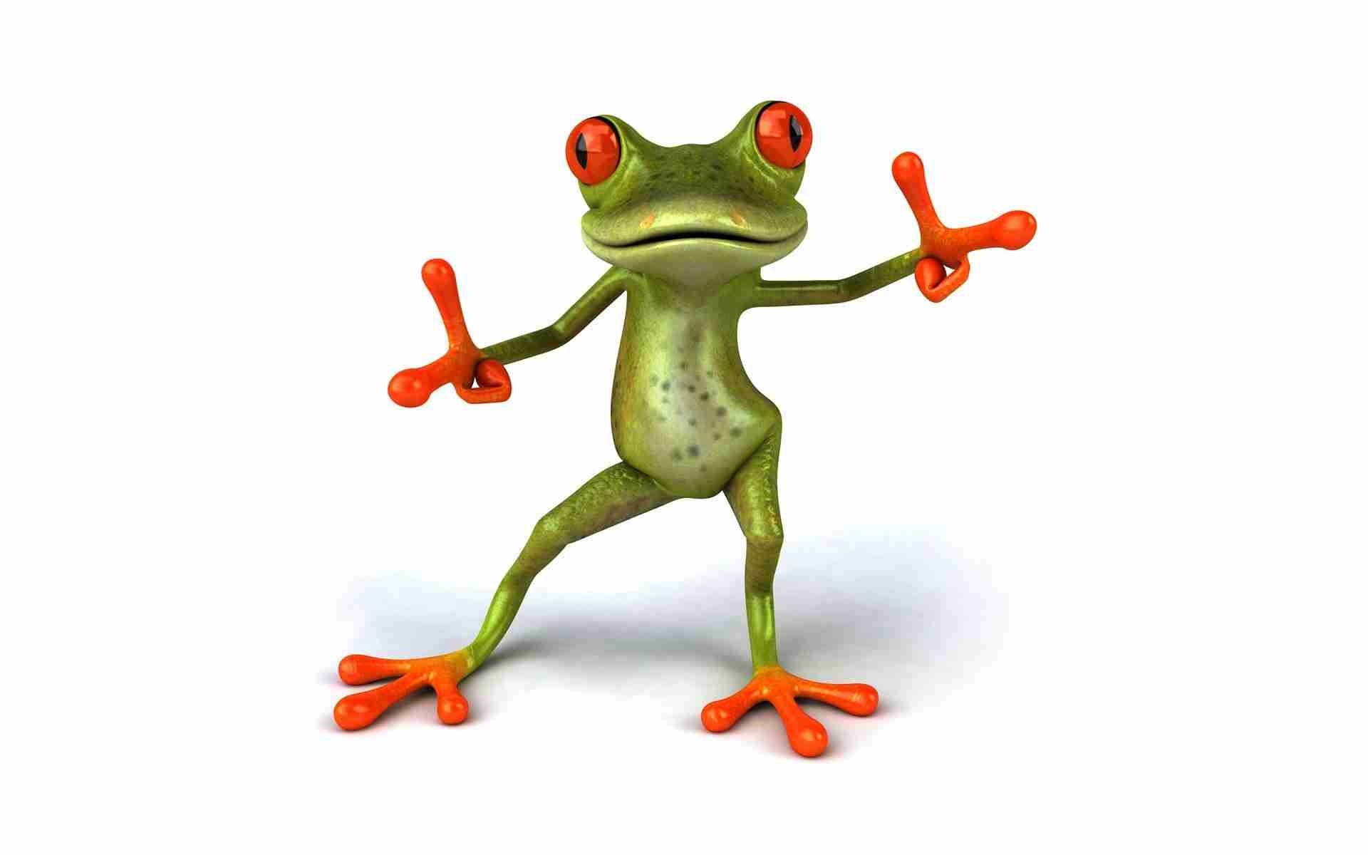 Funny Baby Animals Wallpaper Colorful Frog Cute Frogs Picture