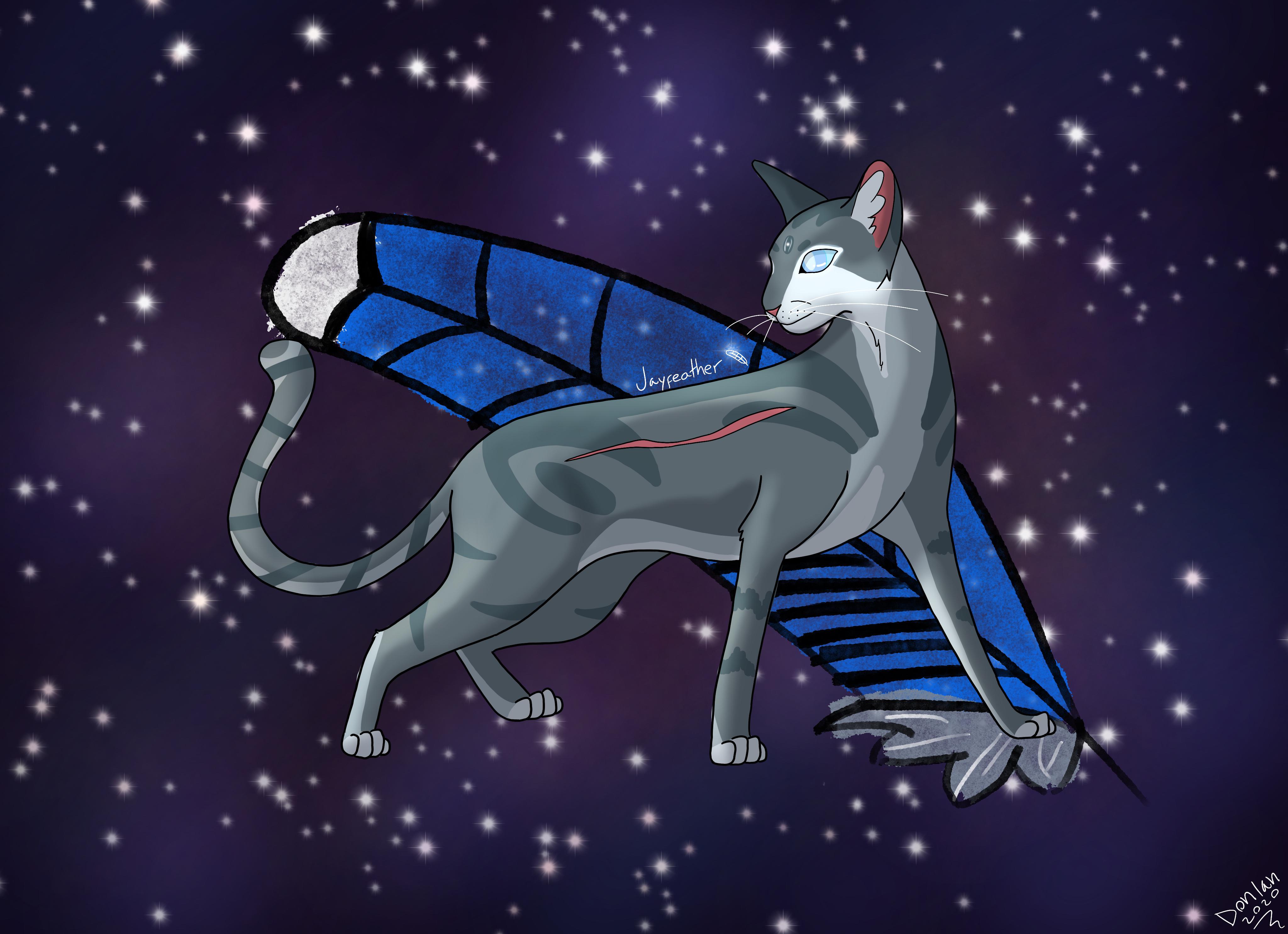 I drew Jayfeather! ^^ I like how the background turned out on this one
