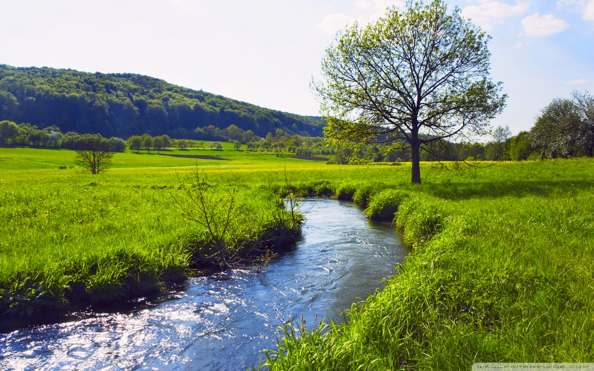 Summer Landscape Ultra HD Desktop Background Wallpaper for 4K UHD TV, Widescreen & UltraWide Desktop & Laptop