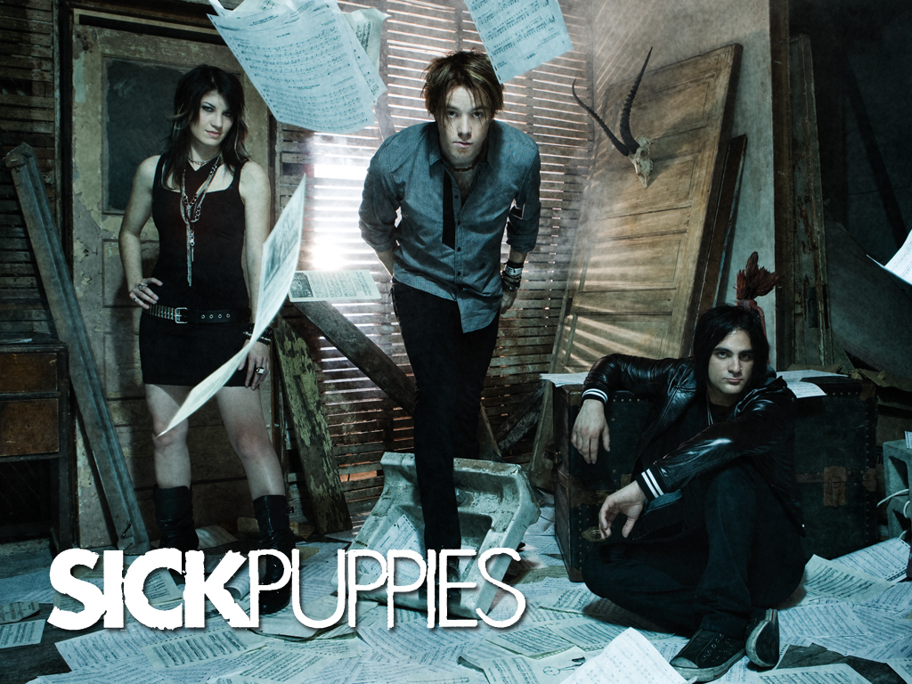 Sick Puppies Puppies Wallpaper