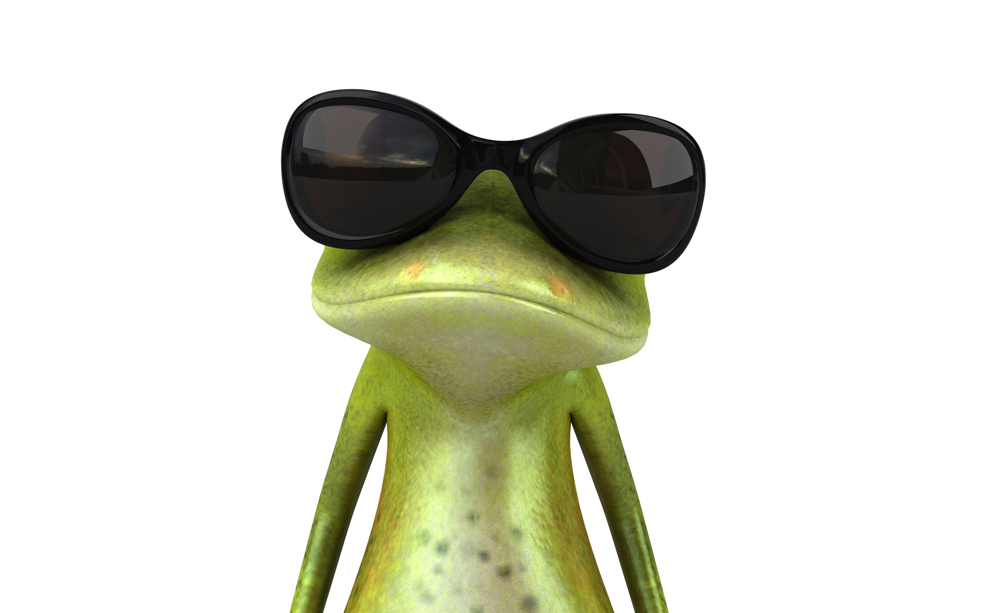 Desktop Wallpaper Frogs 3D Graphics eyeglasses Animals White
